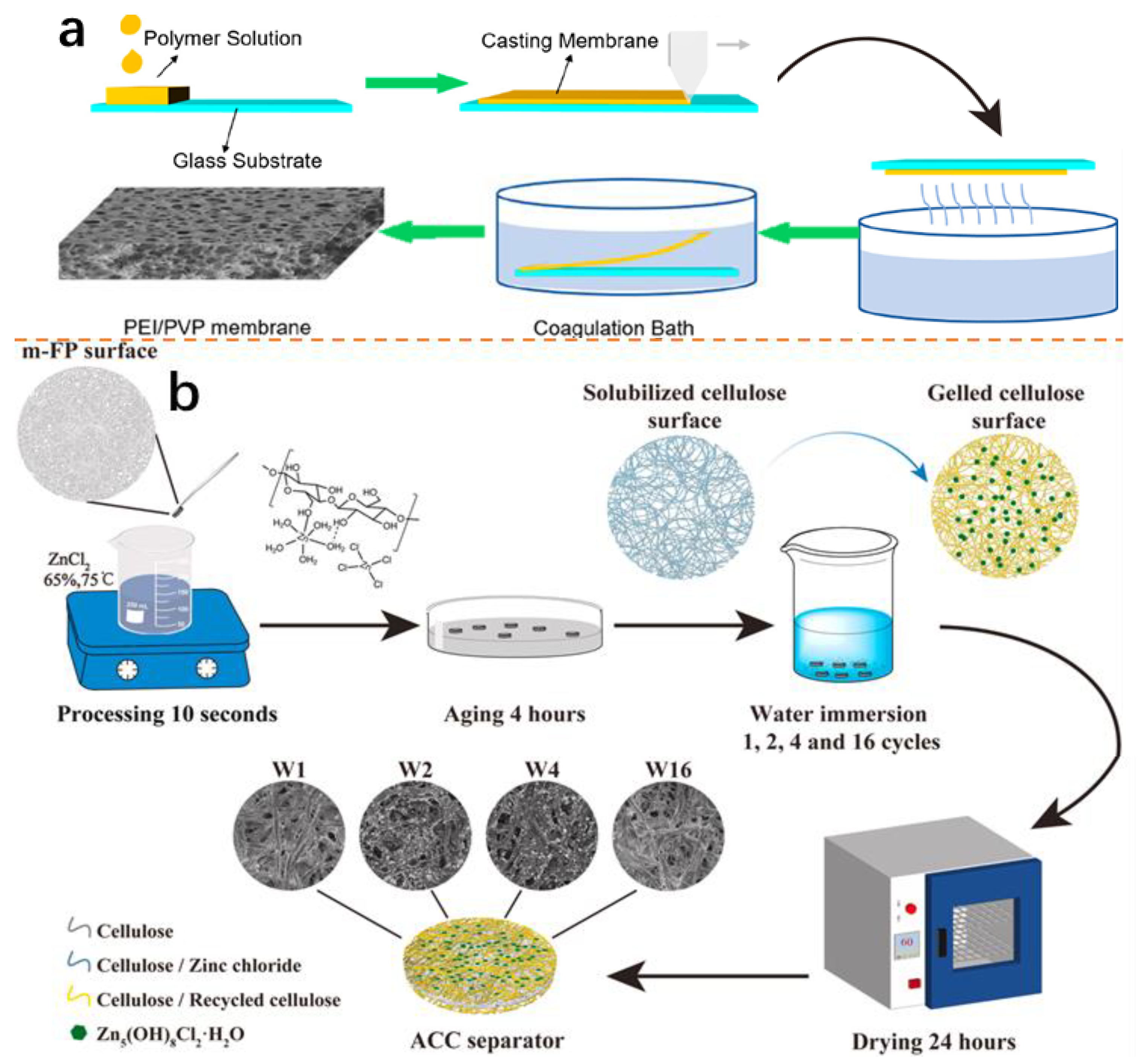 Molecules 28 03134 g009 Molecules 28 03134 g009