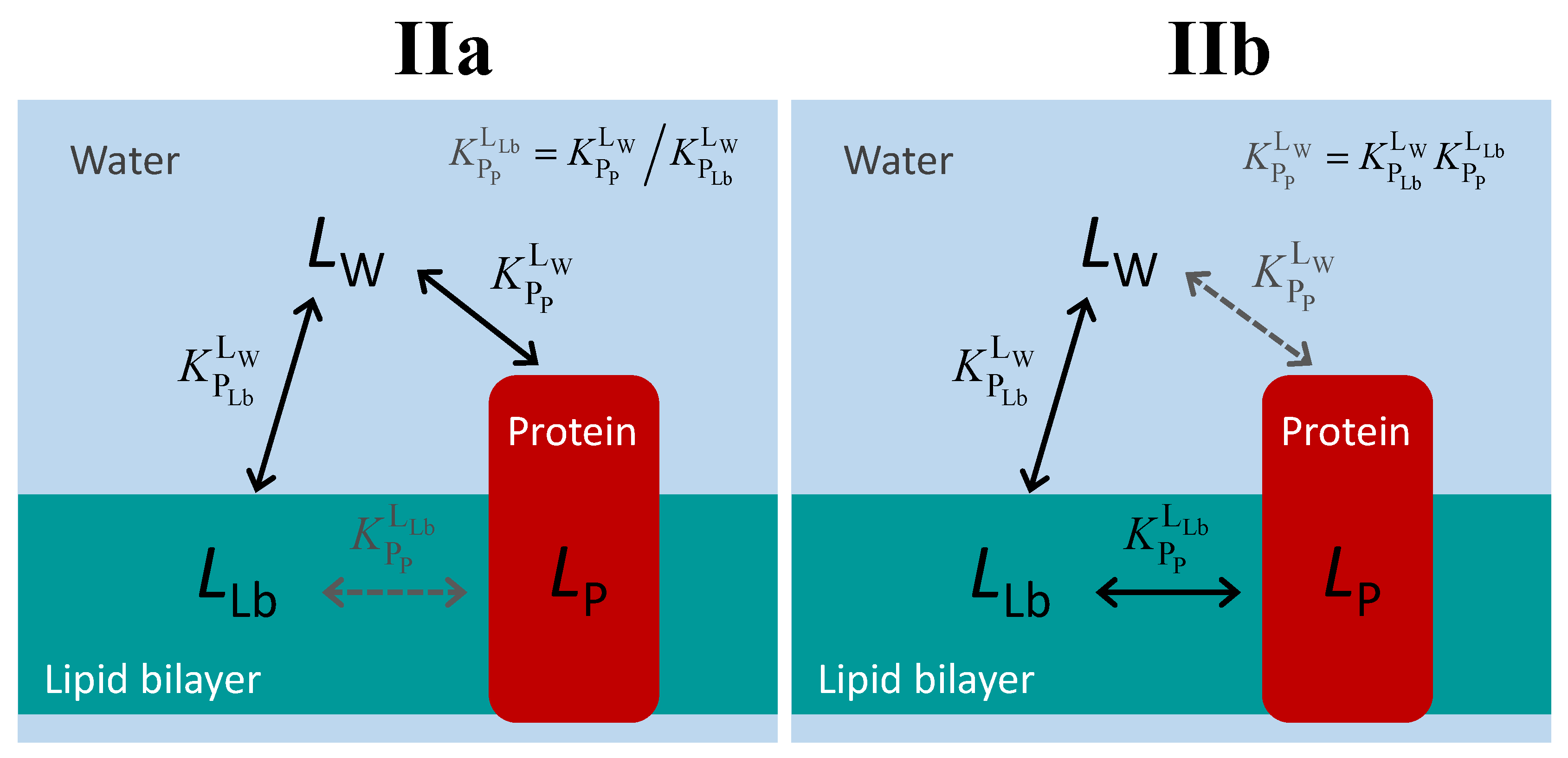 Molecules 28 03136 g004