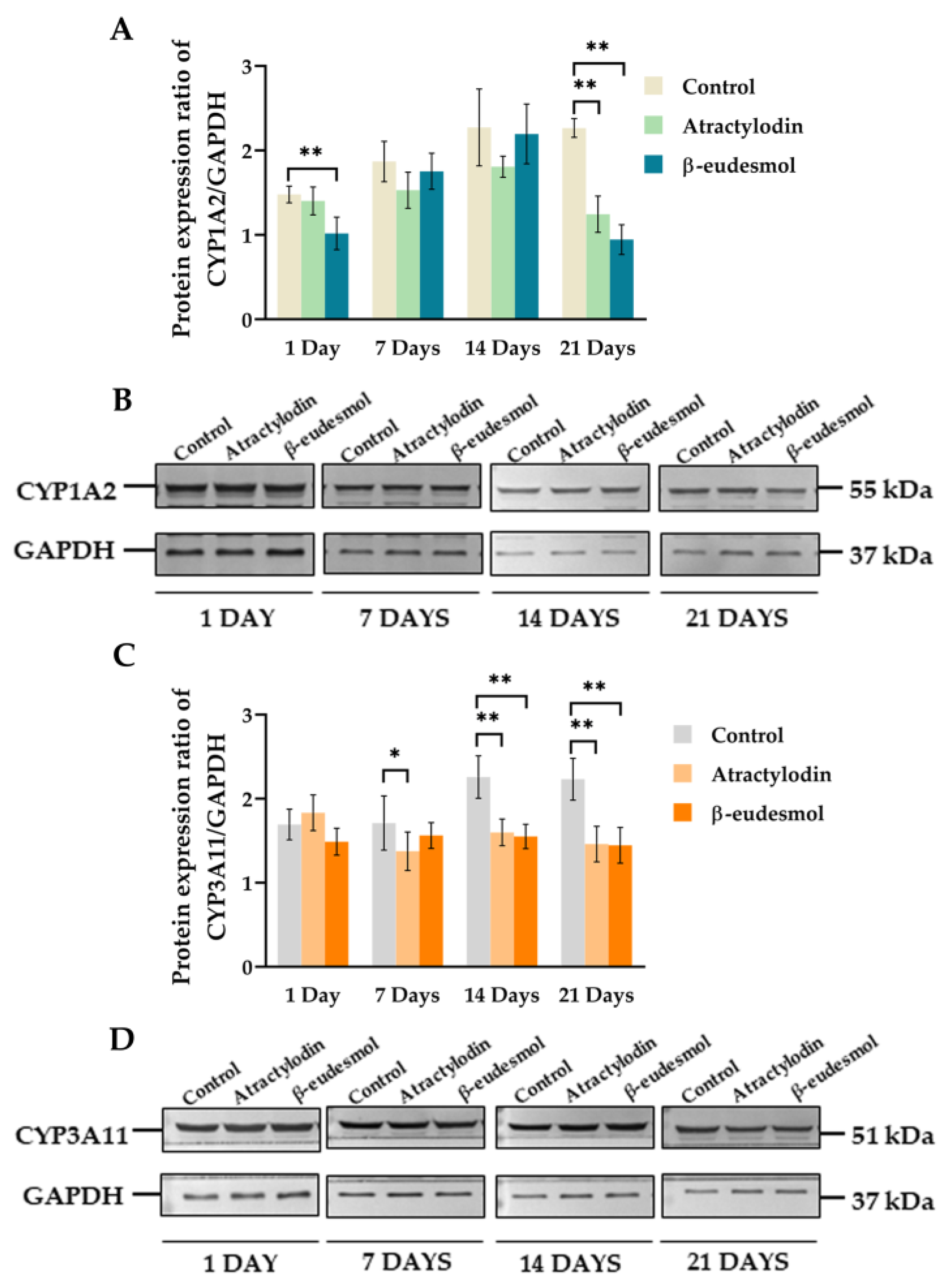 Molecules 28 03140 g002