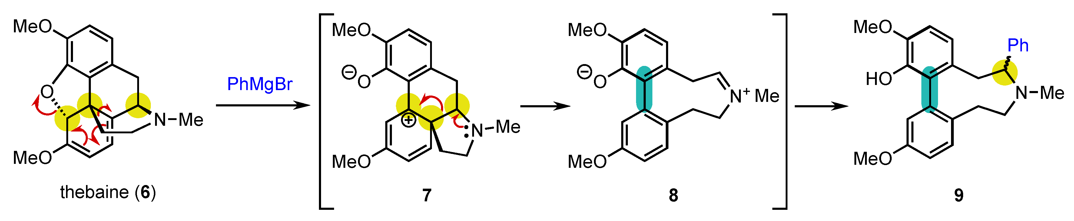 Molecules 28 03142 sch003
