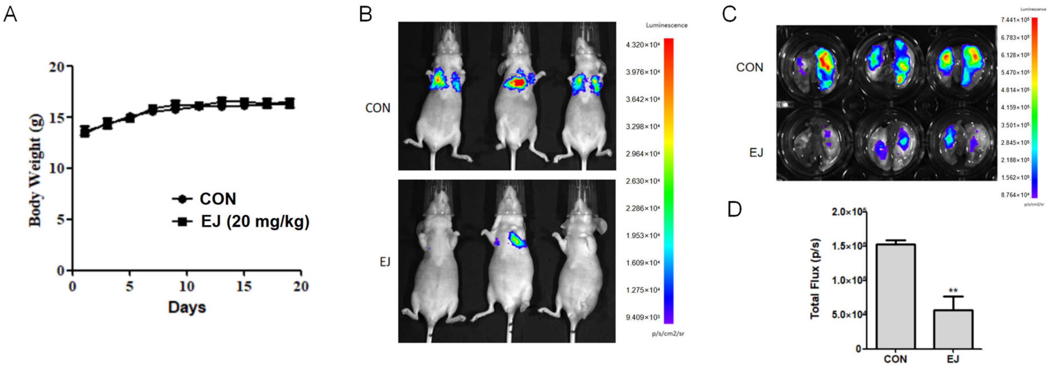 Molecules 28 03143 g003