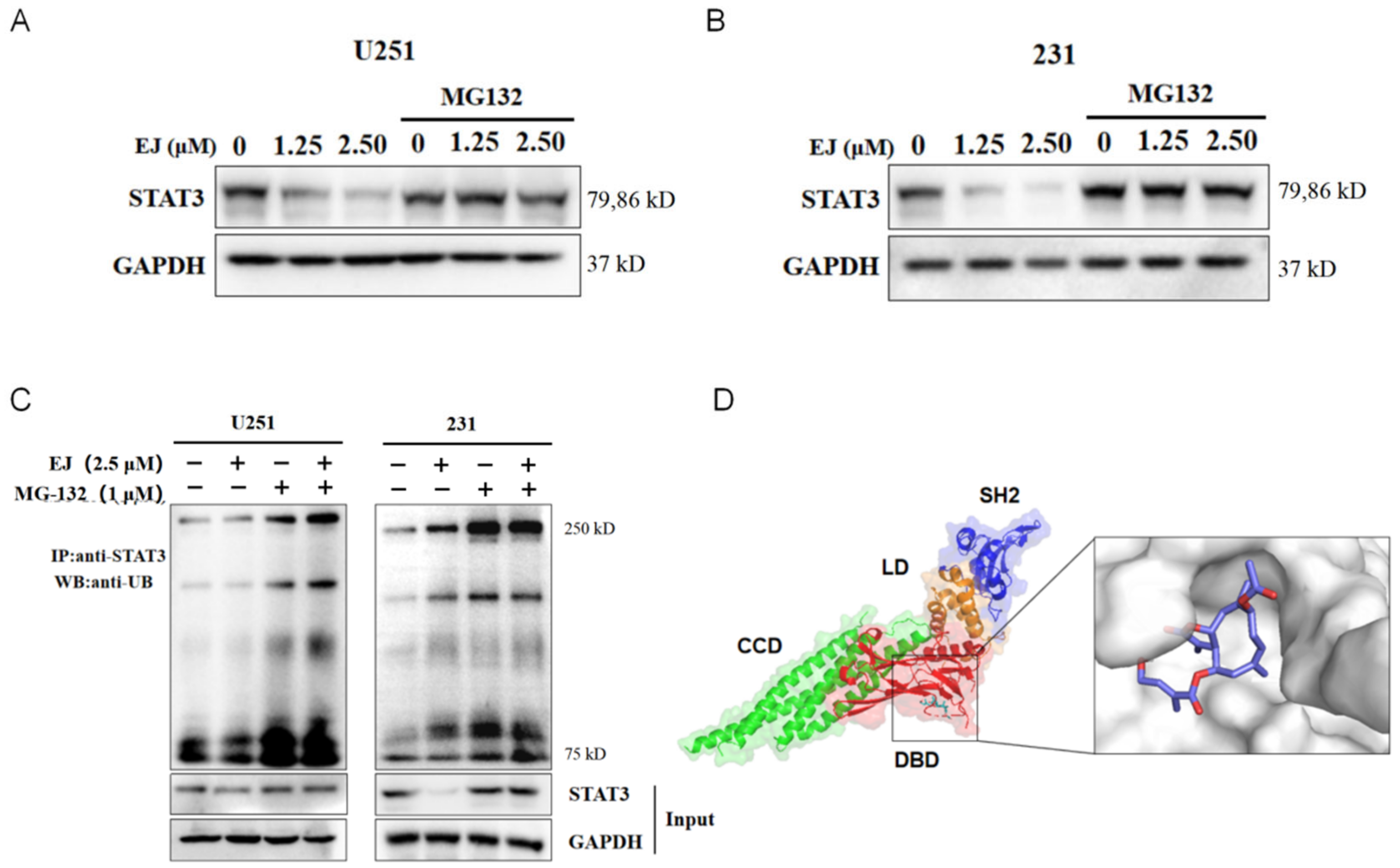 Molecules 28 03143 g006