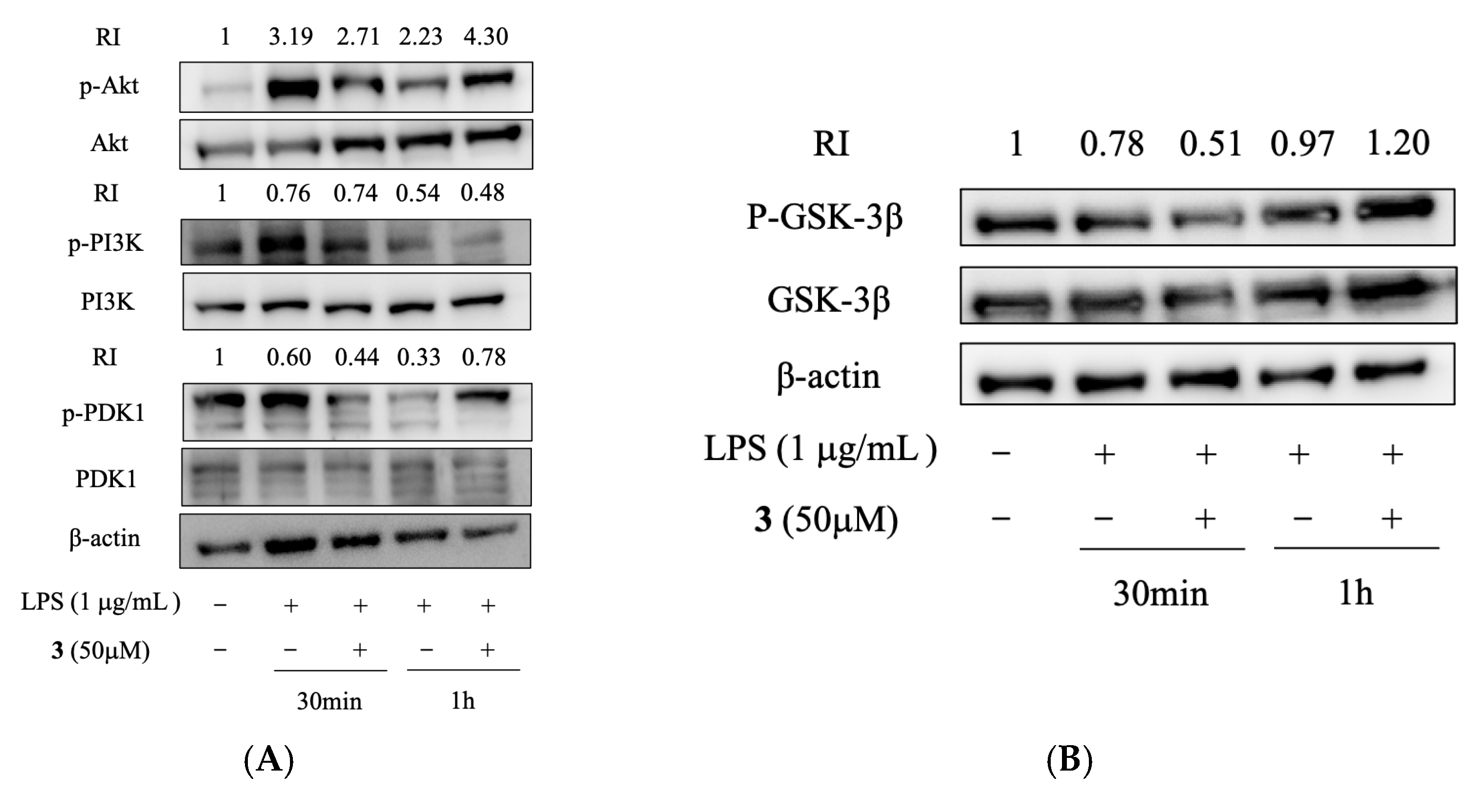 Molecules 28 03146 g005
