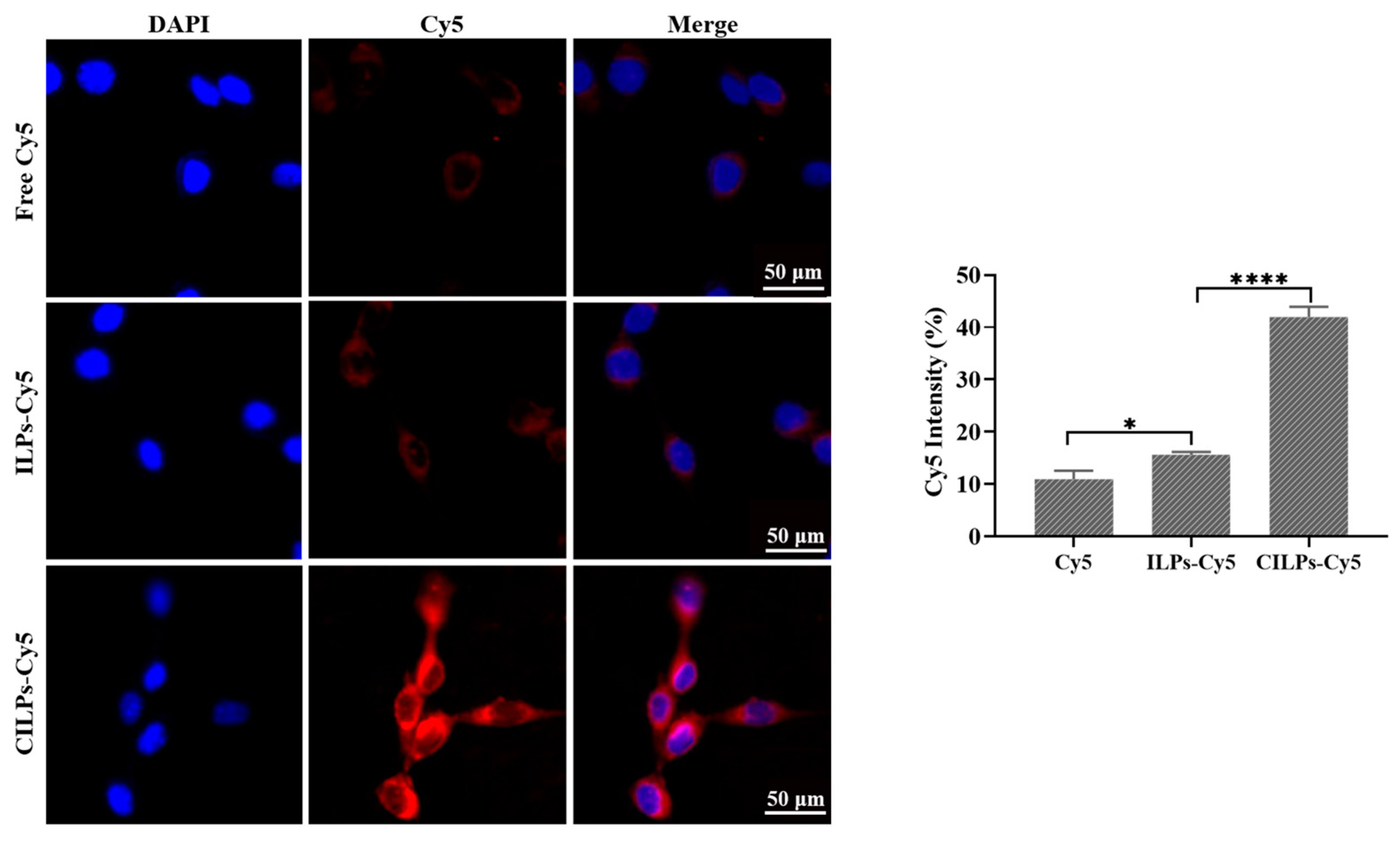 Molecules 28 03147 g002 Molecules 28 03147 g002