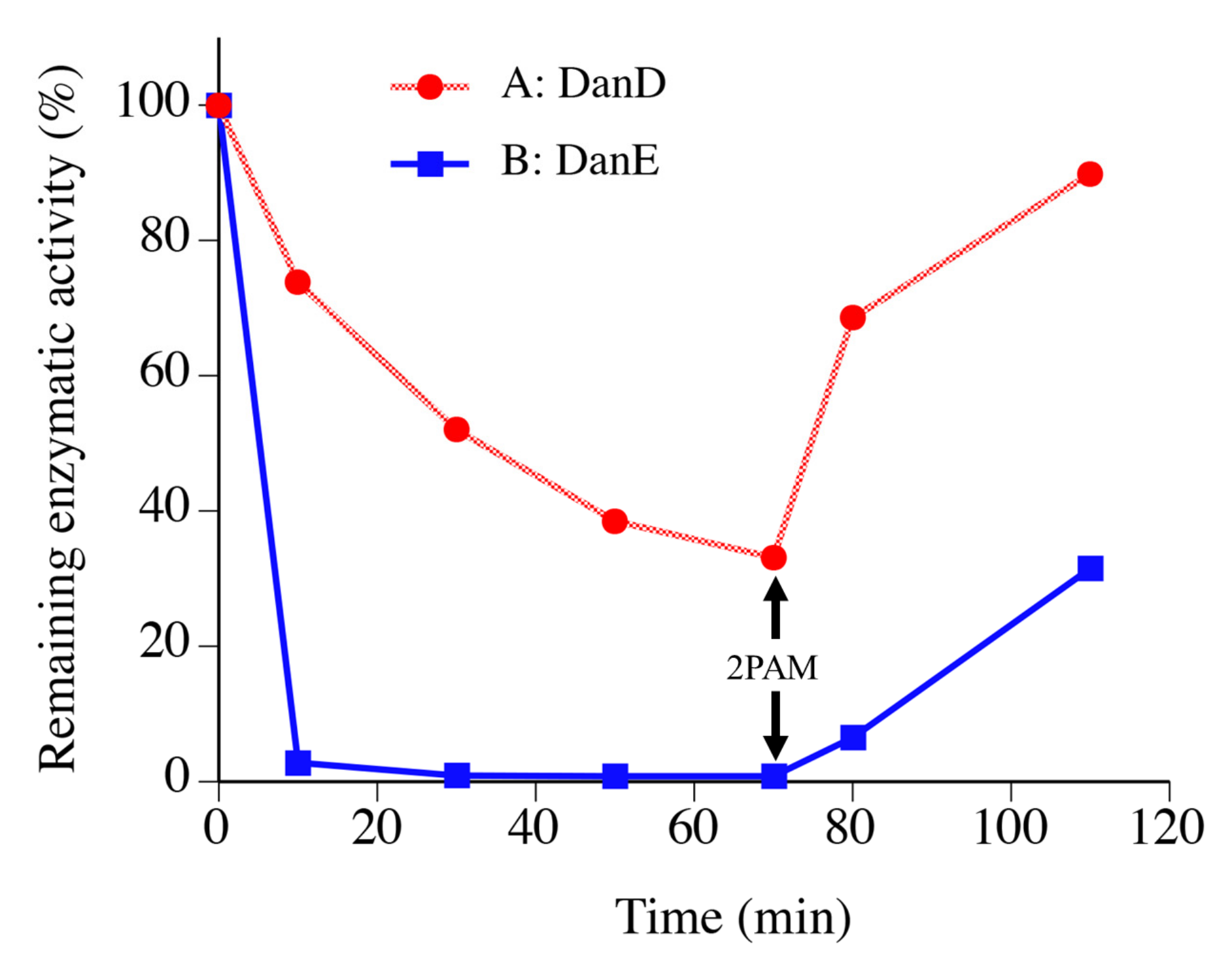 Molecules 28 03150 g003