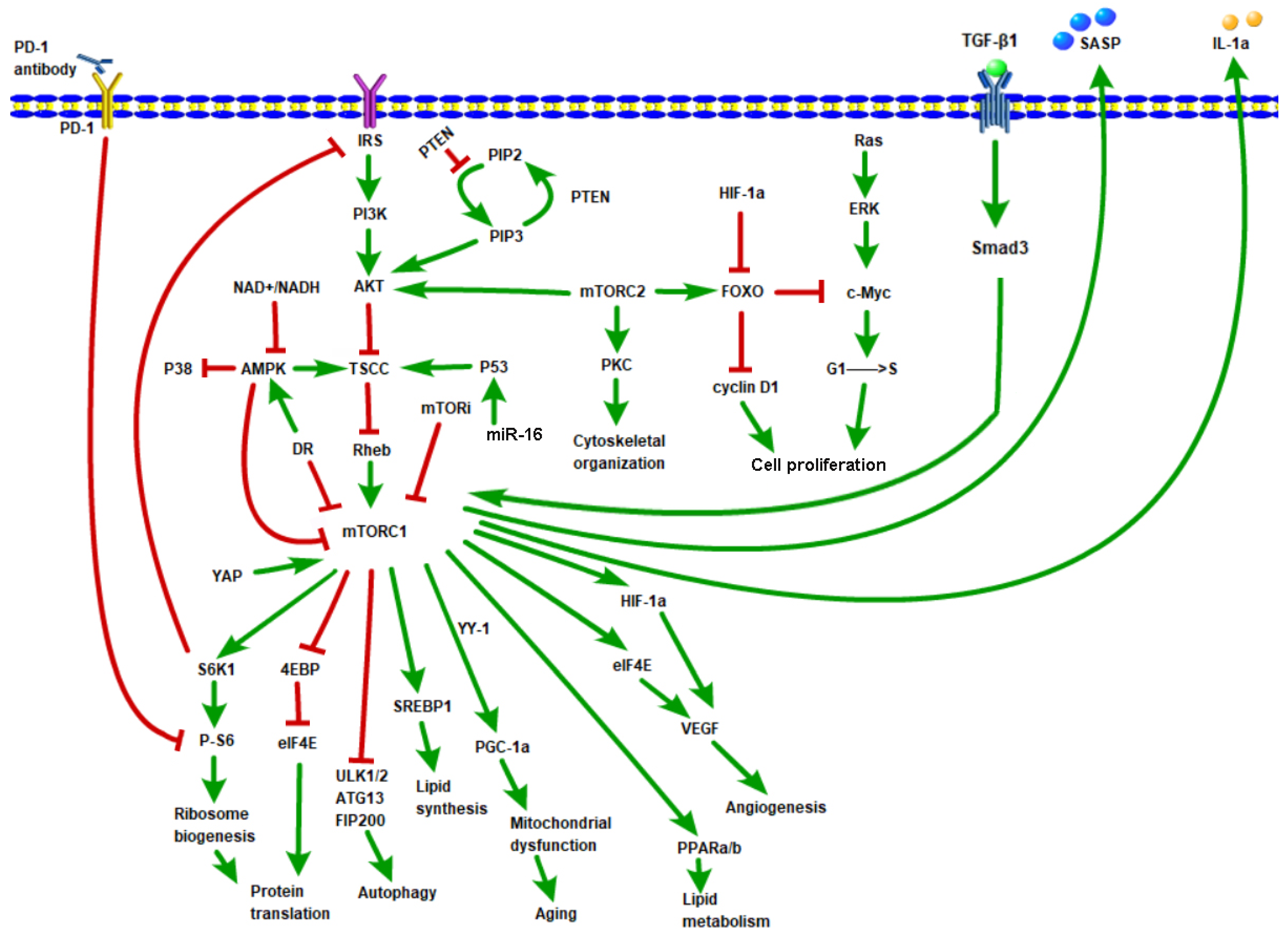 Molecules 28 03157 g002