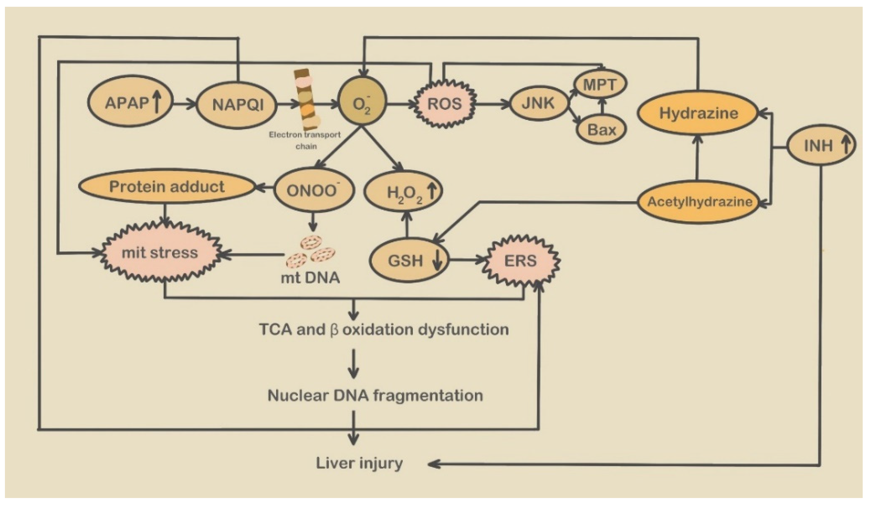 Molecules 28 03160 g001
