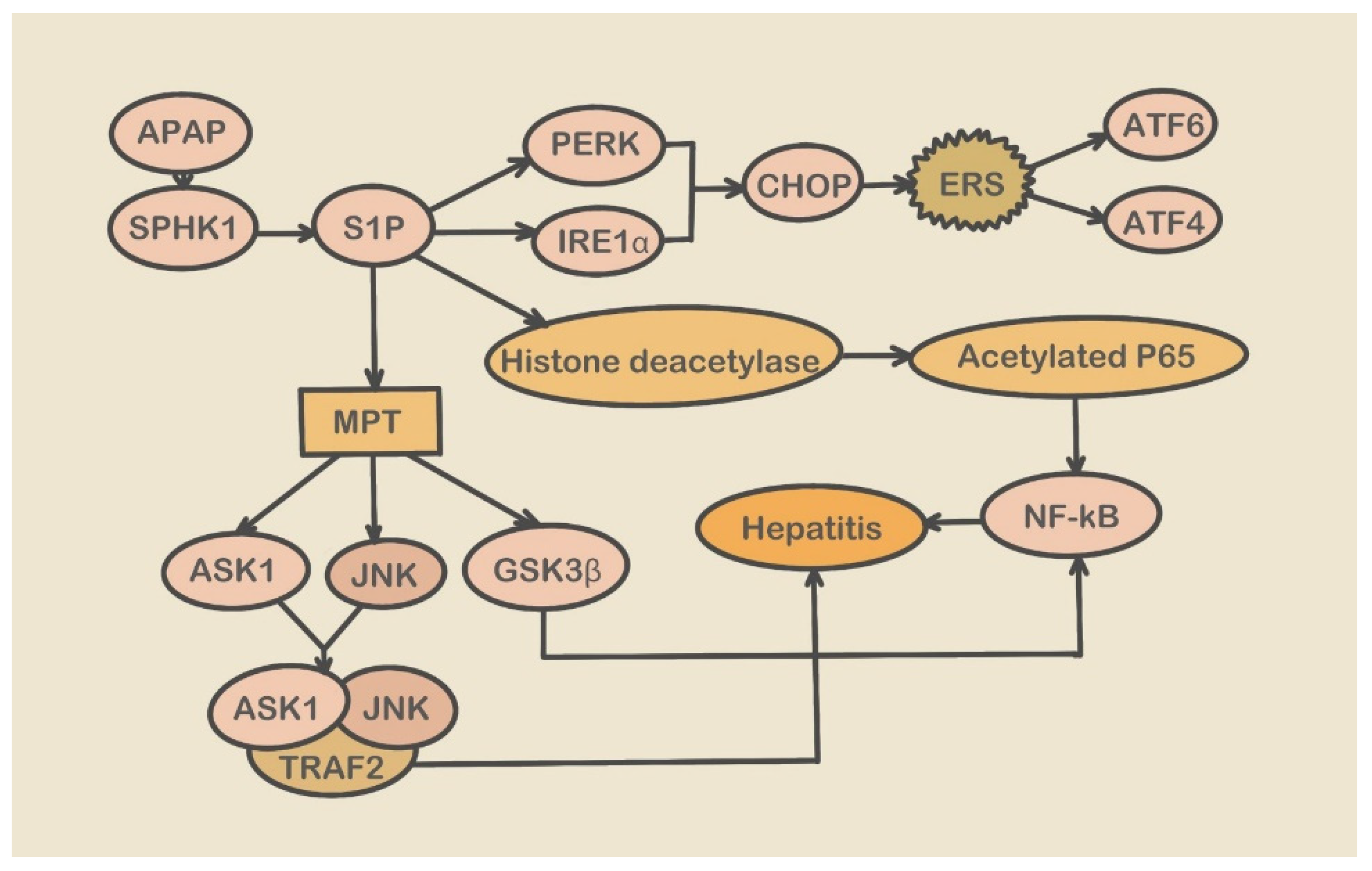Molecules 28 03160 g002