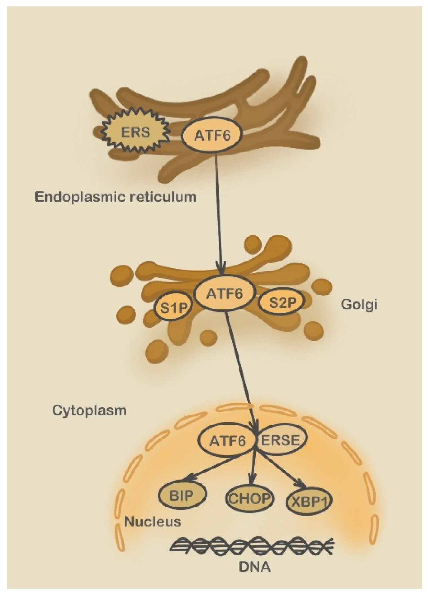 Molecules 28 03160 g003