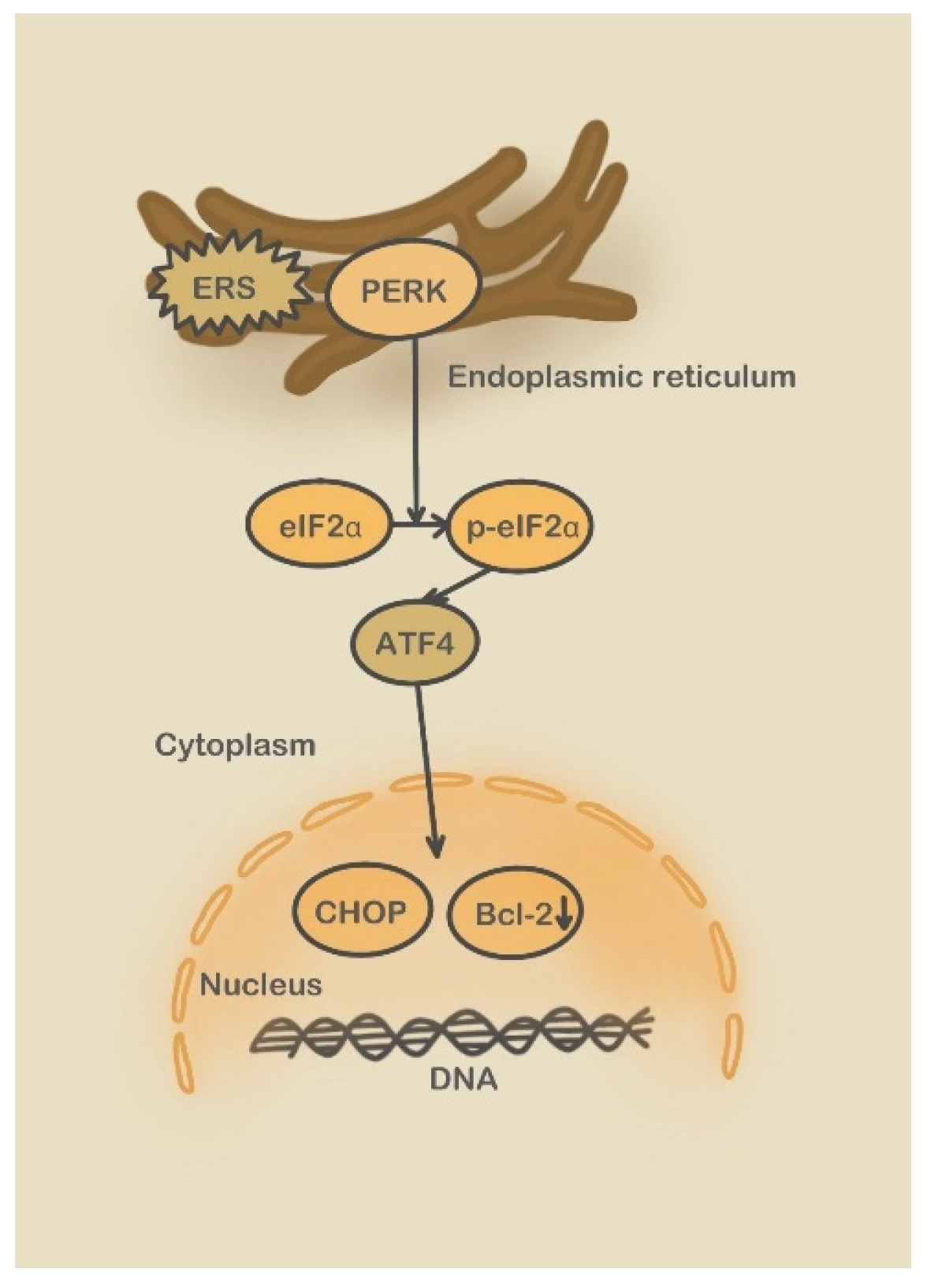 Molecules 28 03160 g005
