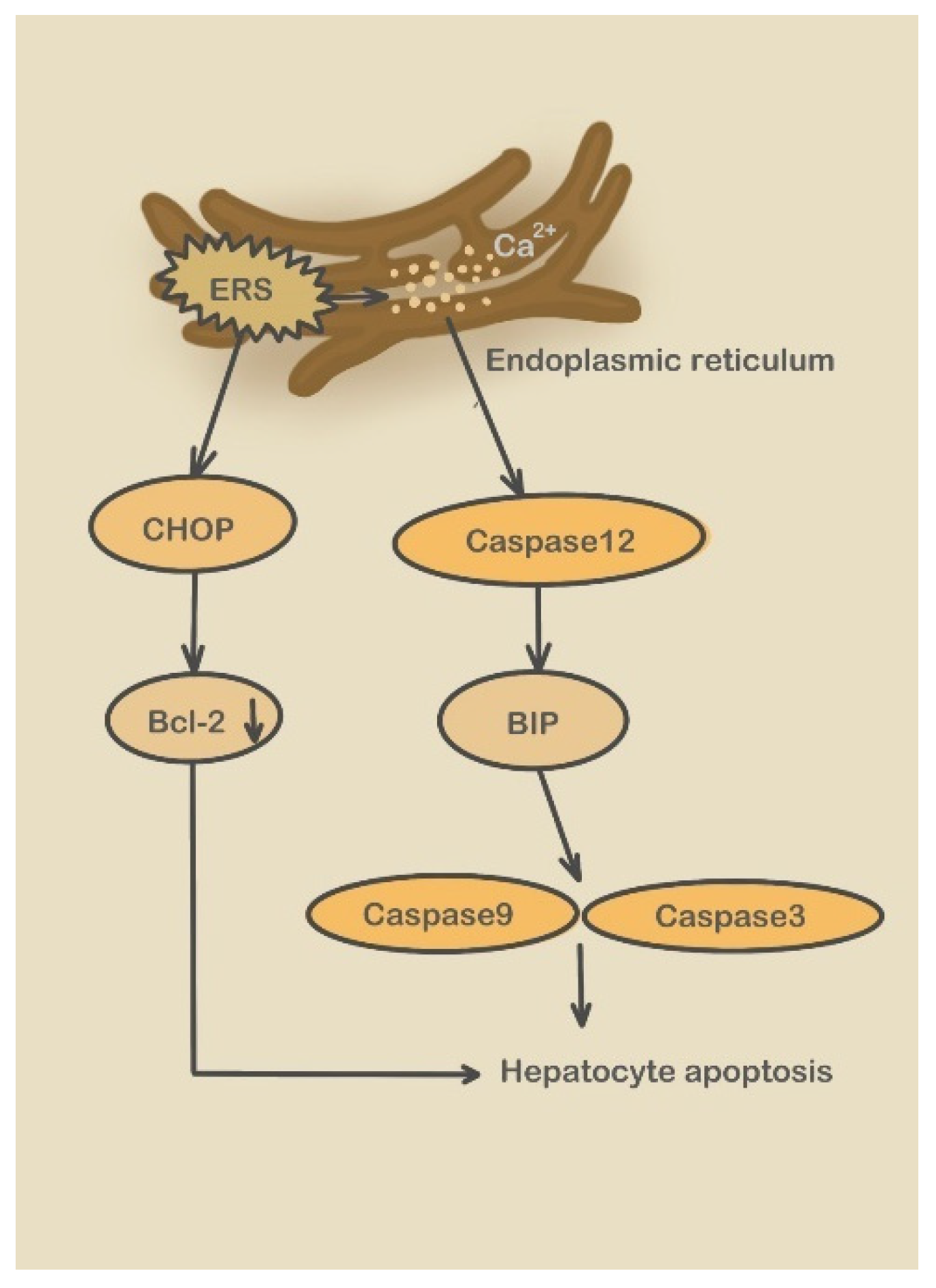 Molecules 28 03160 g006