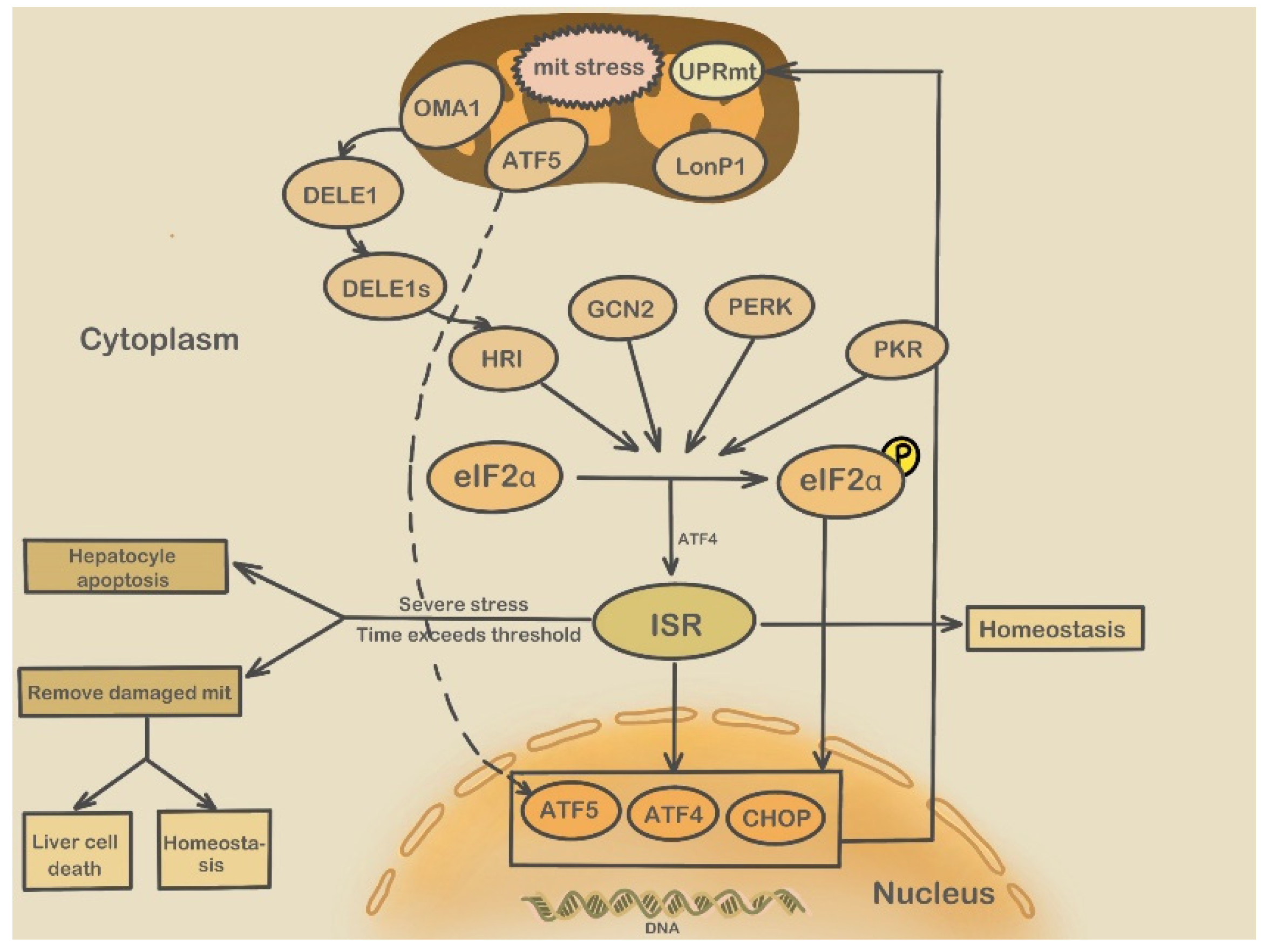 Molecules 28 03160 g007