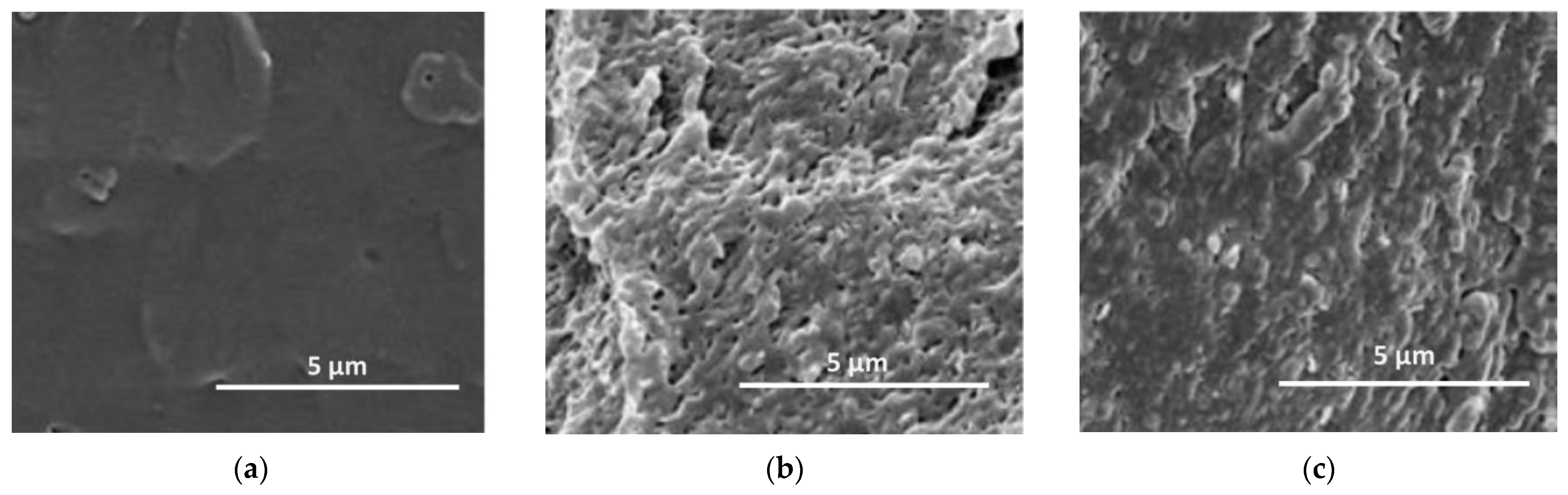 Molecules 28 03165 g006