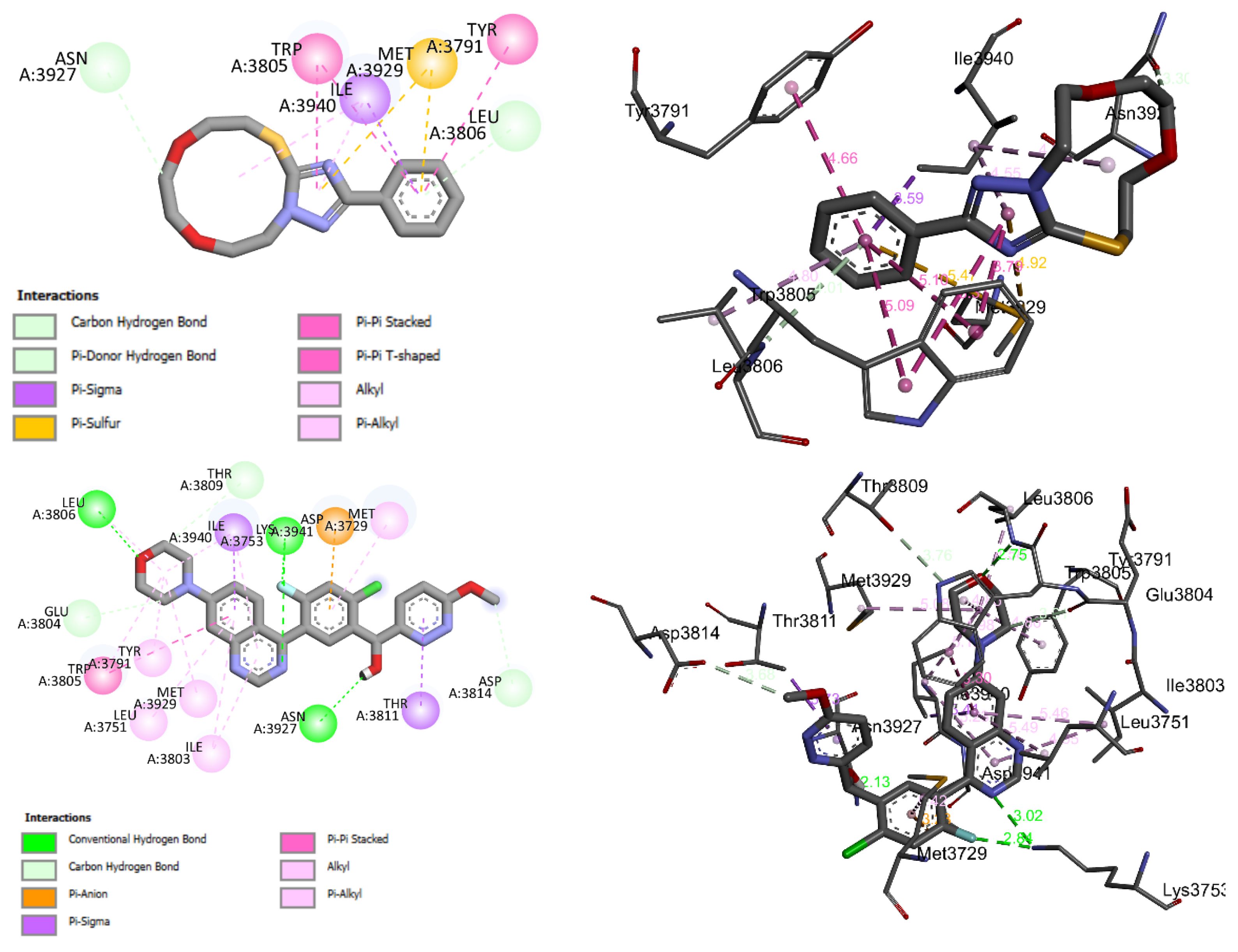 Molecules 28 03166 g013