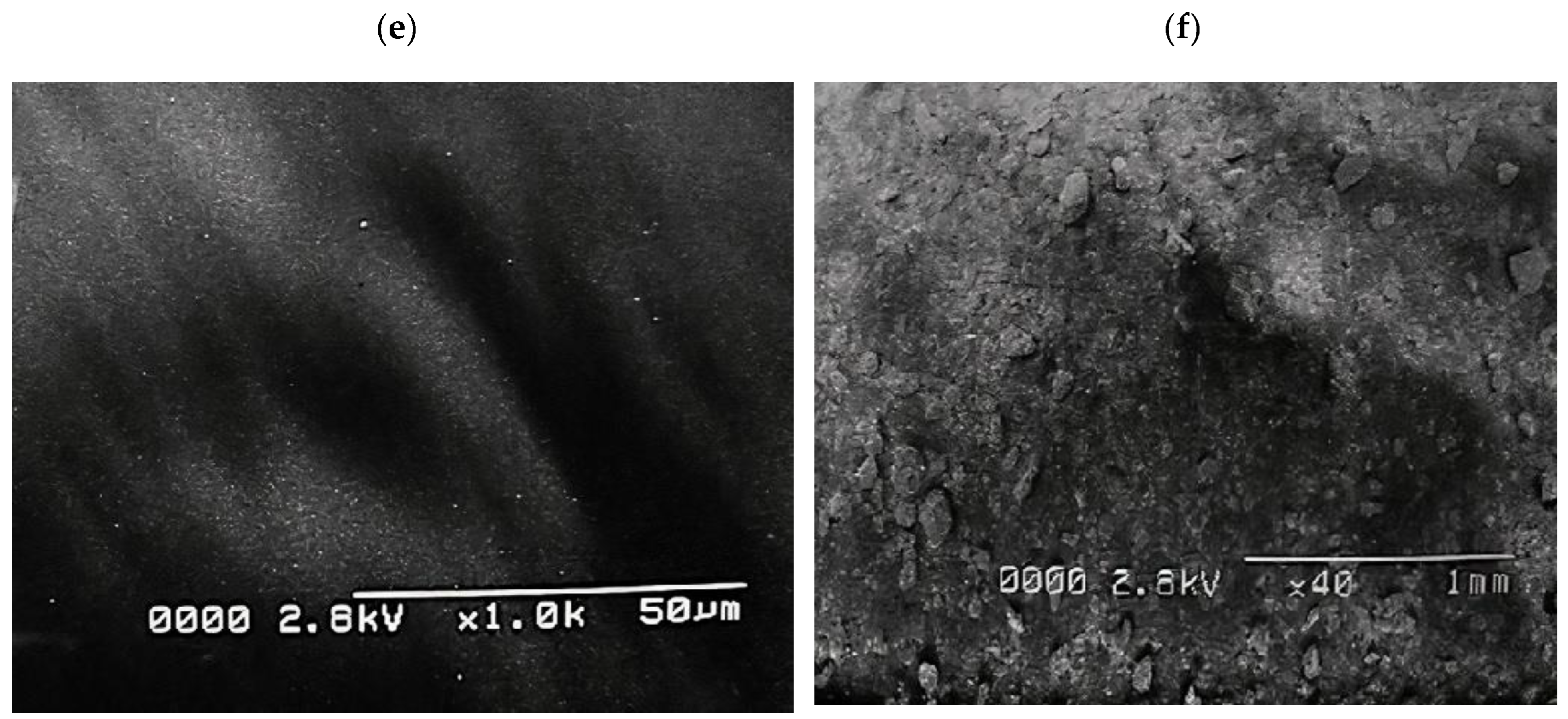Molecules 28 03167 g001b Molecules 28 03167 g001b