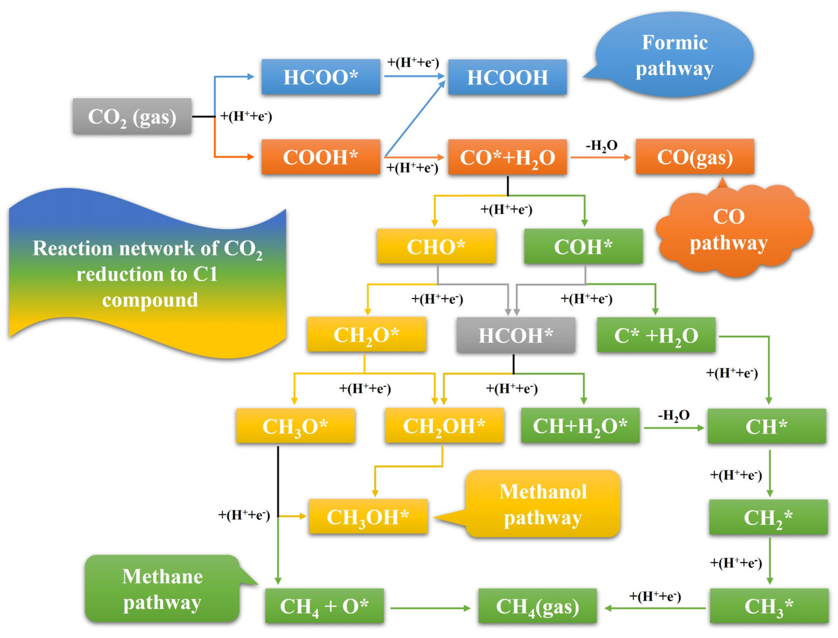 Molecules 28 03169 g001