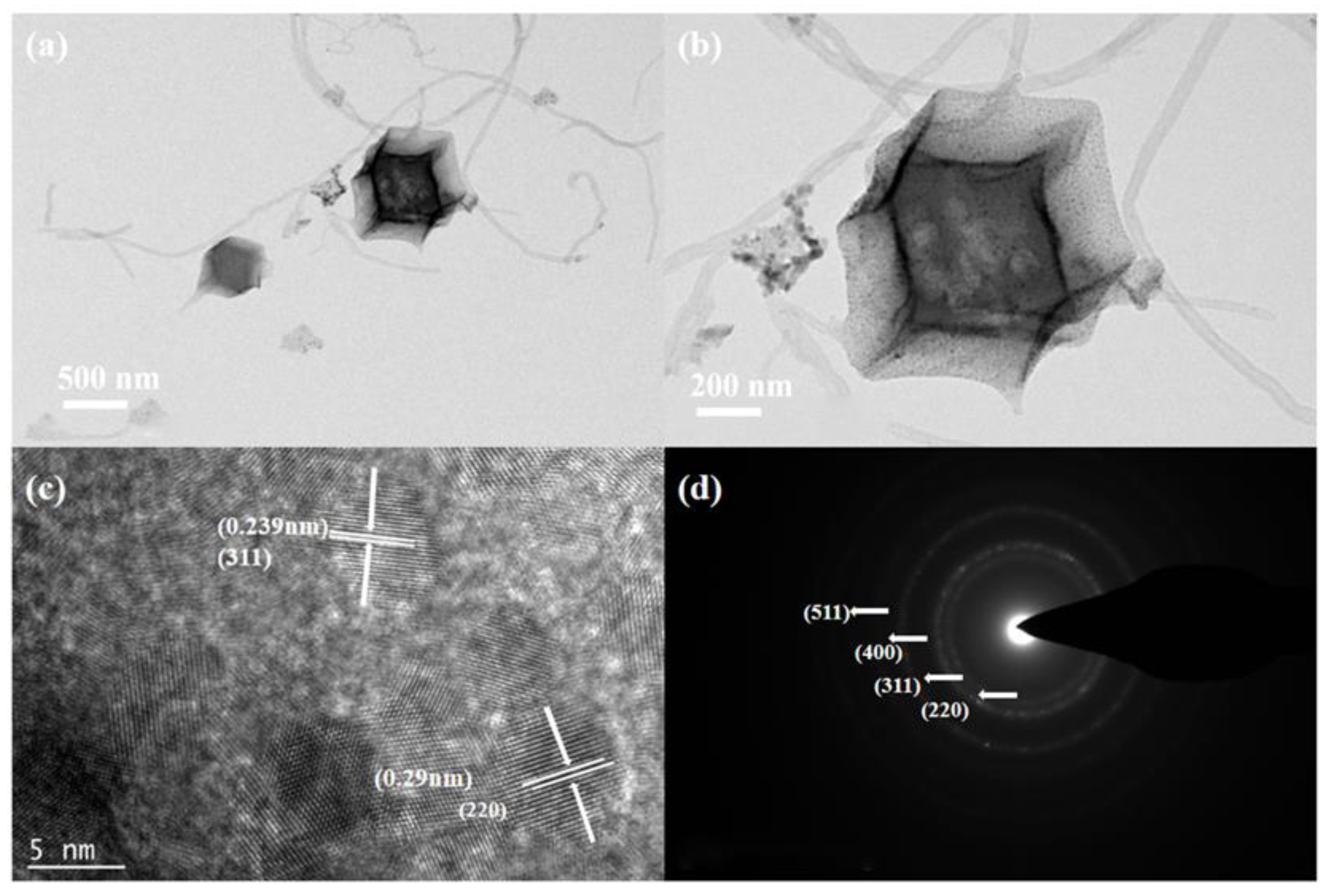 Molecules 28 03177 g002