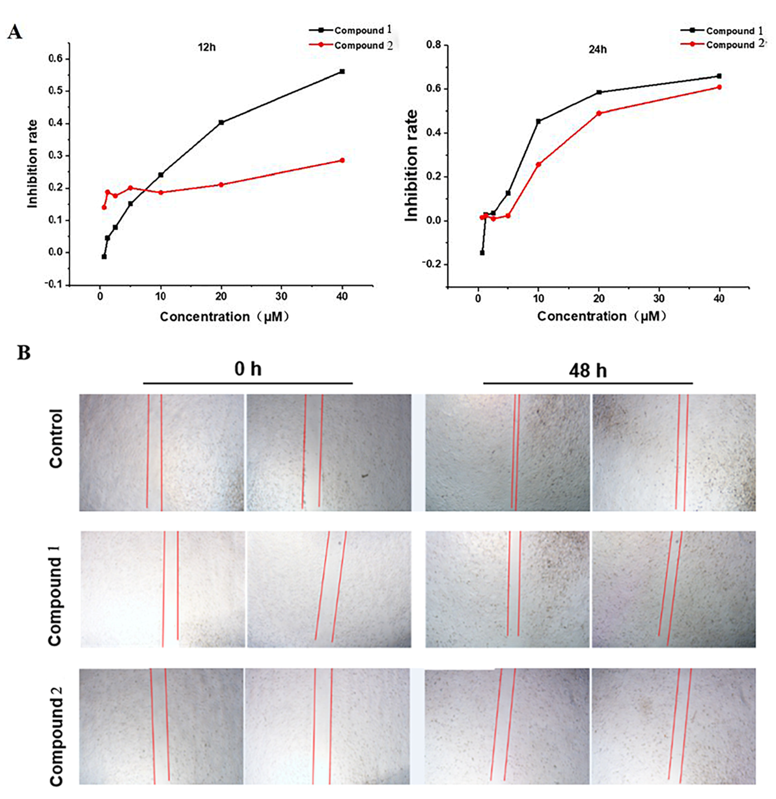 Molecules 28 03180 g003 Molecules 28 03180 g003