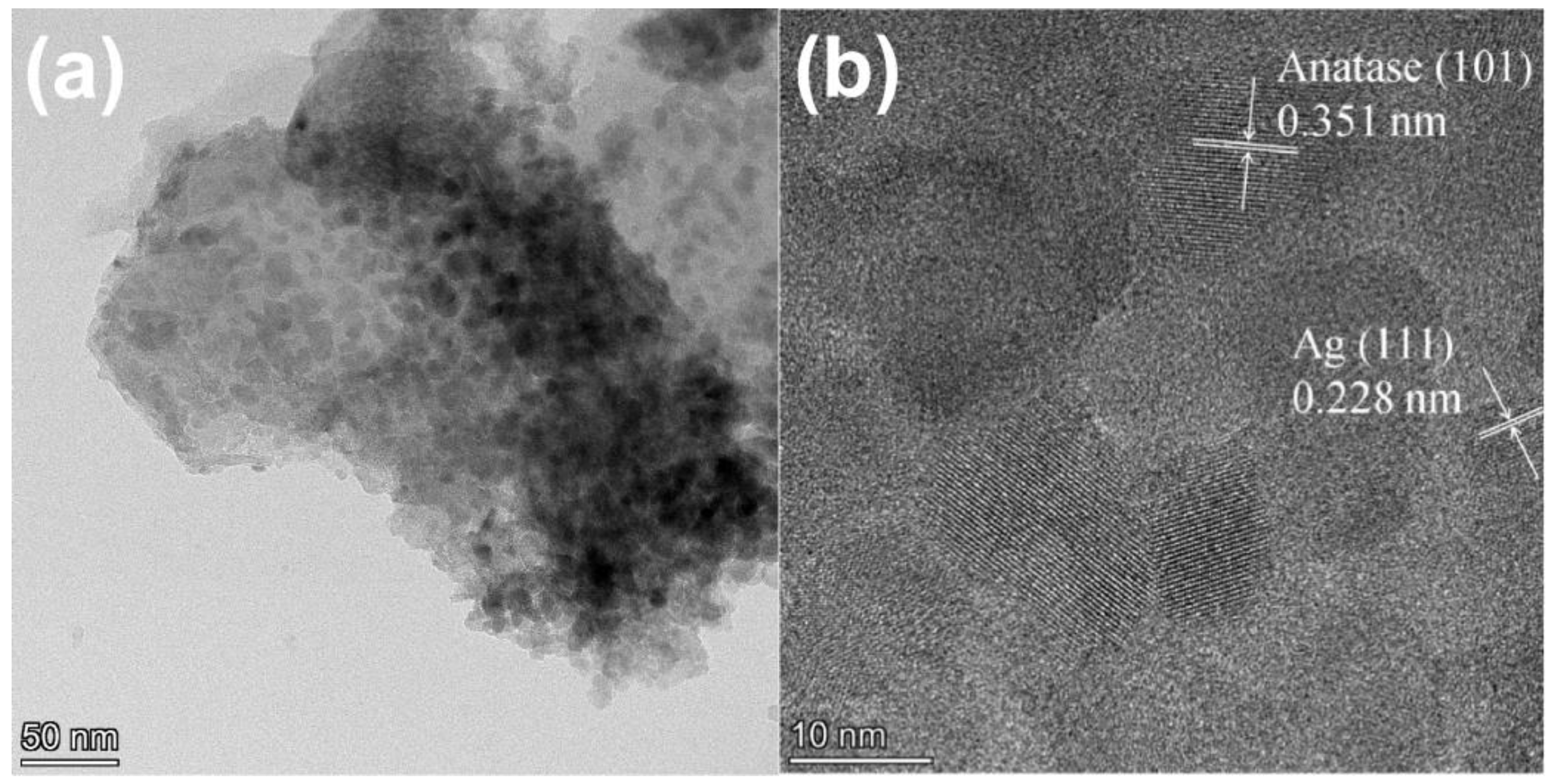 Molecules 28 03187 g003