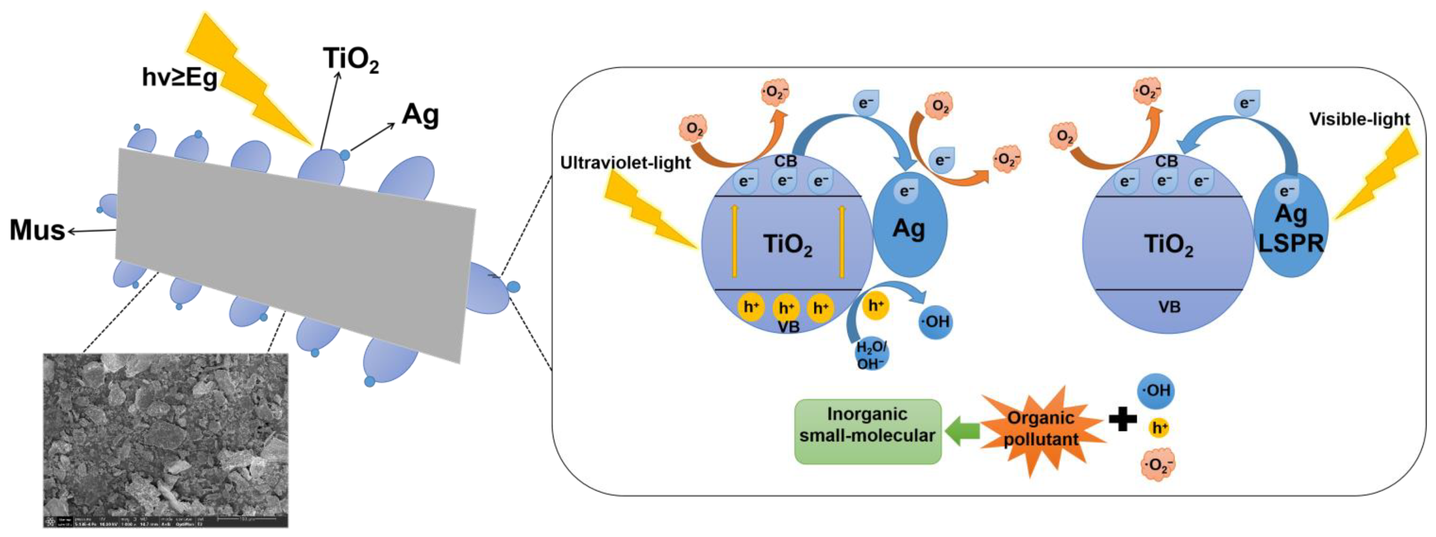 Molecules 28 03187 g014