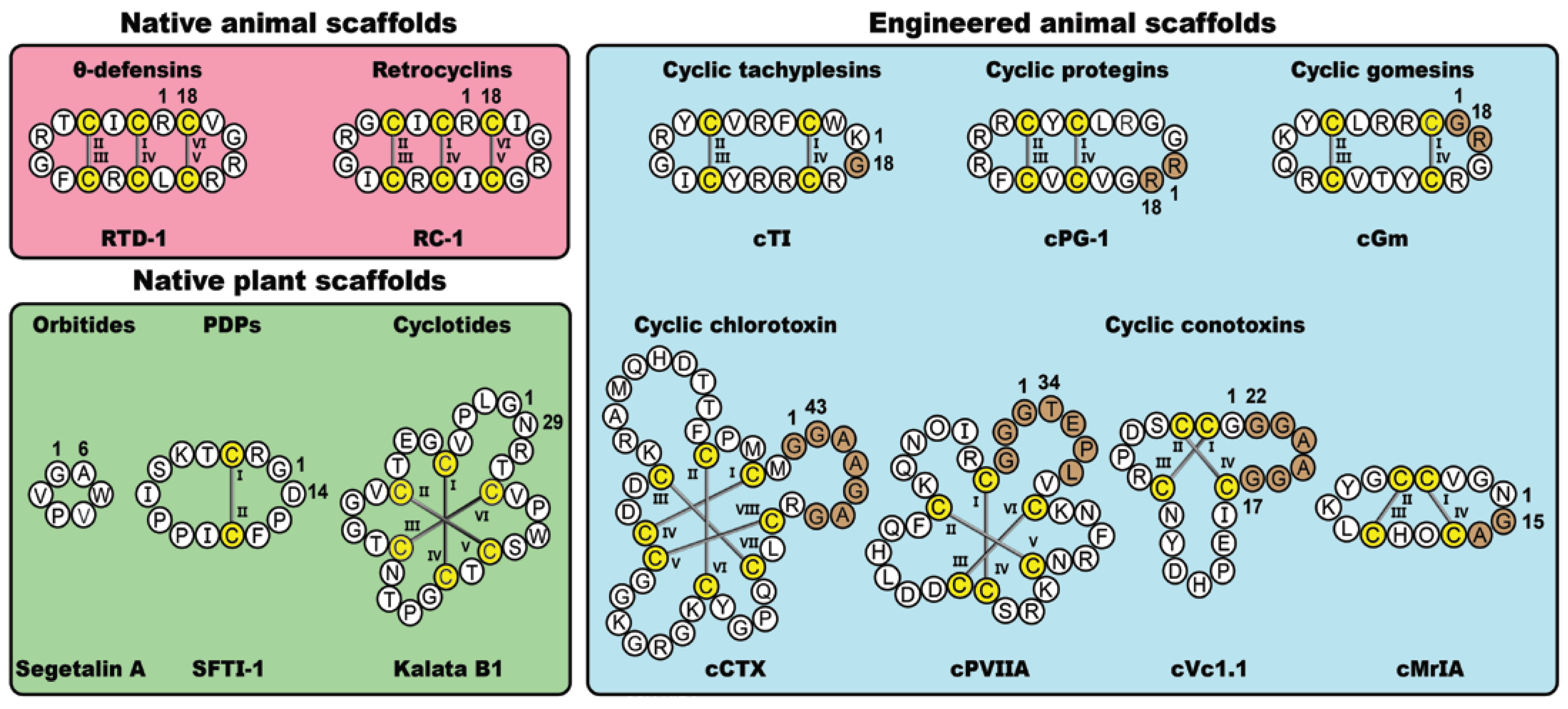 Molecules 28 03189 g001