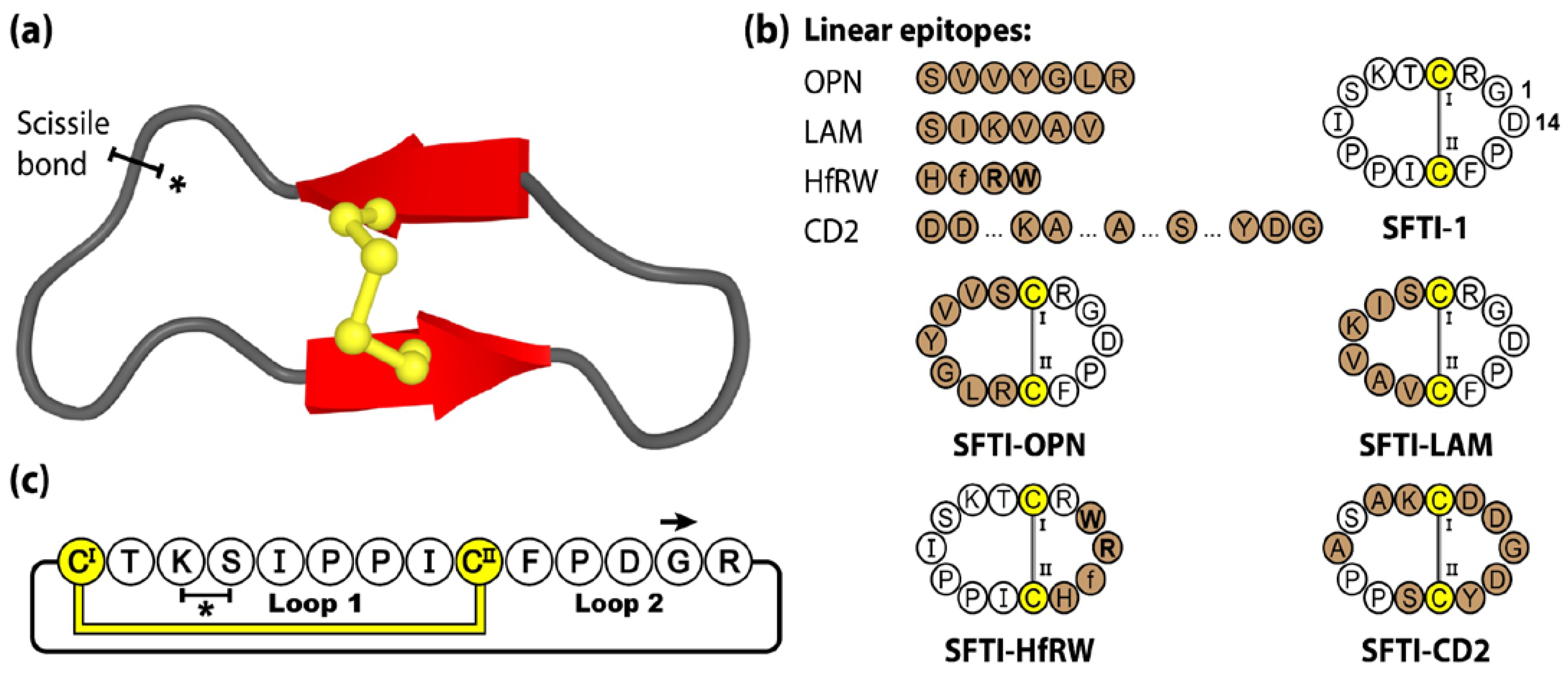 Molecules 28 03189 g003