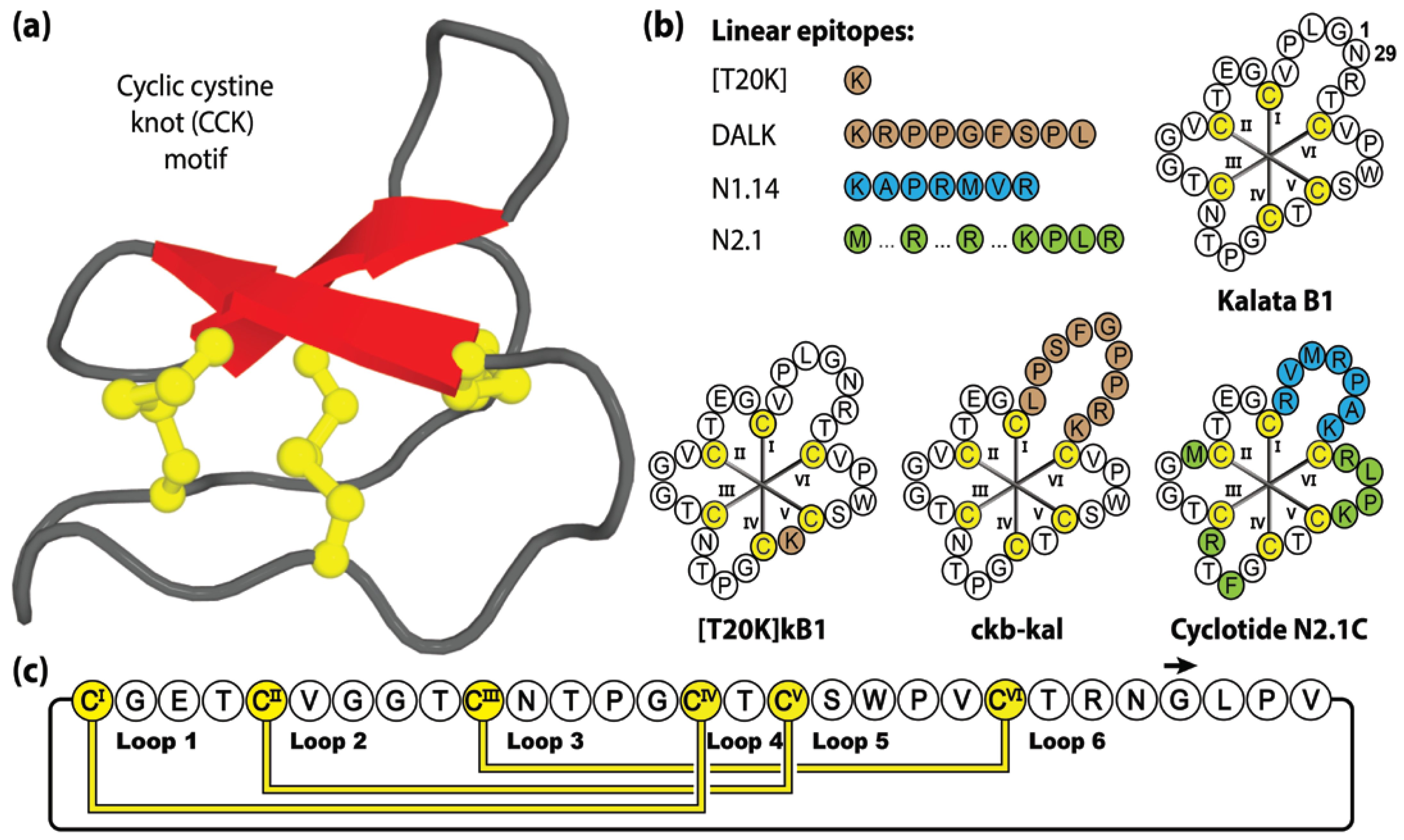 Molecules 28 03189 g004