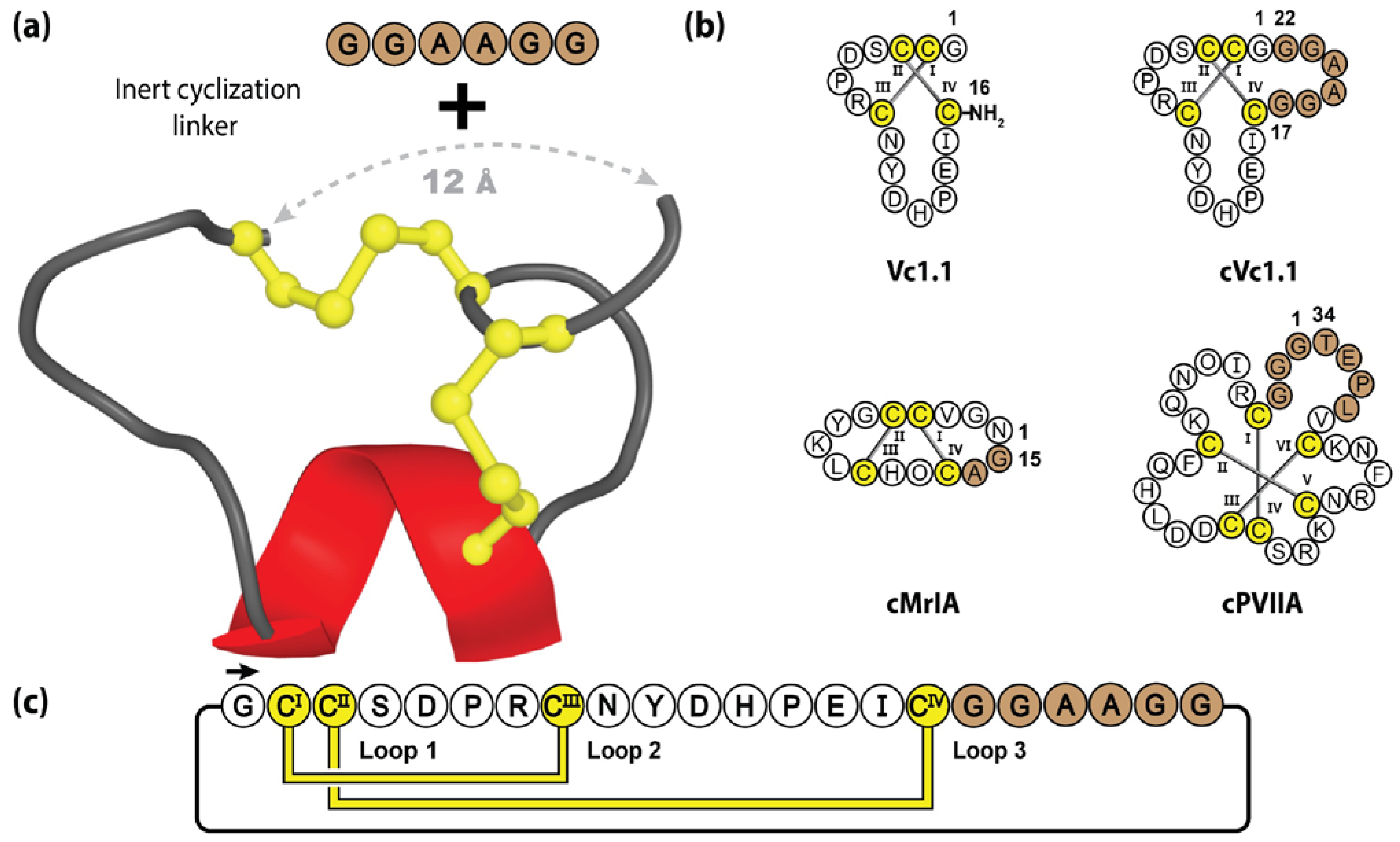Molecules 28 03189 g007