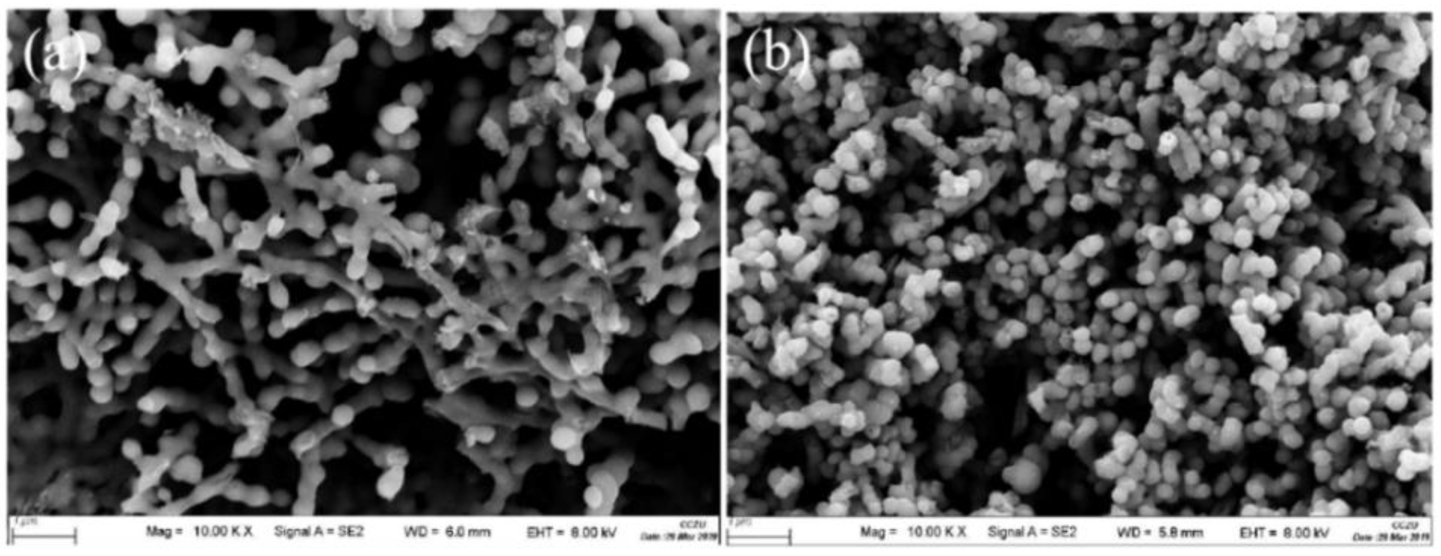 Molecules 28 03191 g002