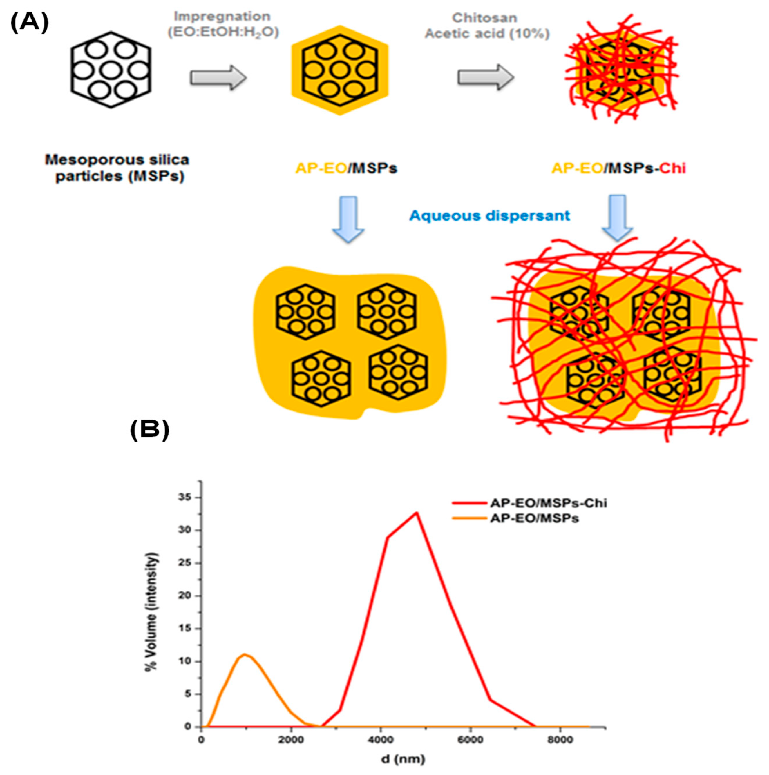 Molecules 28 03194 g005 Molecules 28 03194 g005