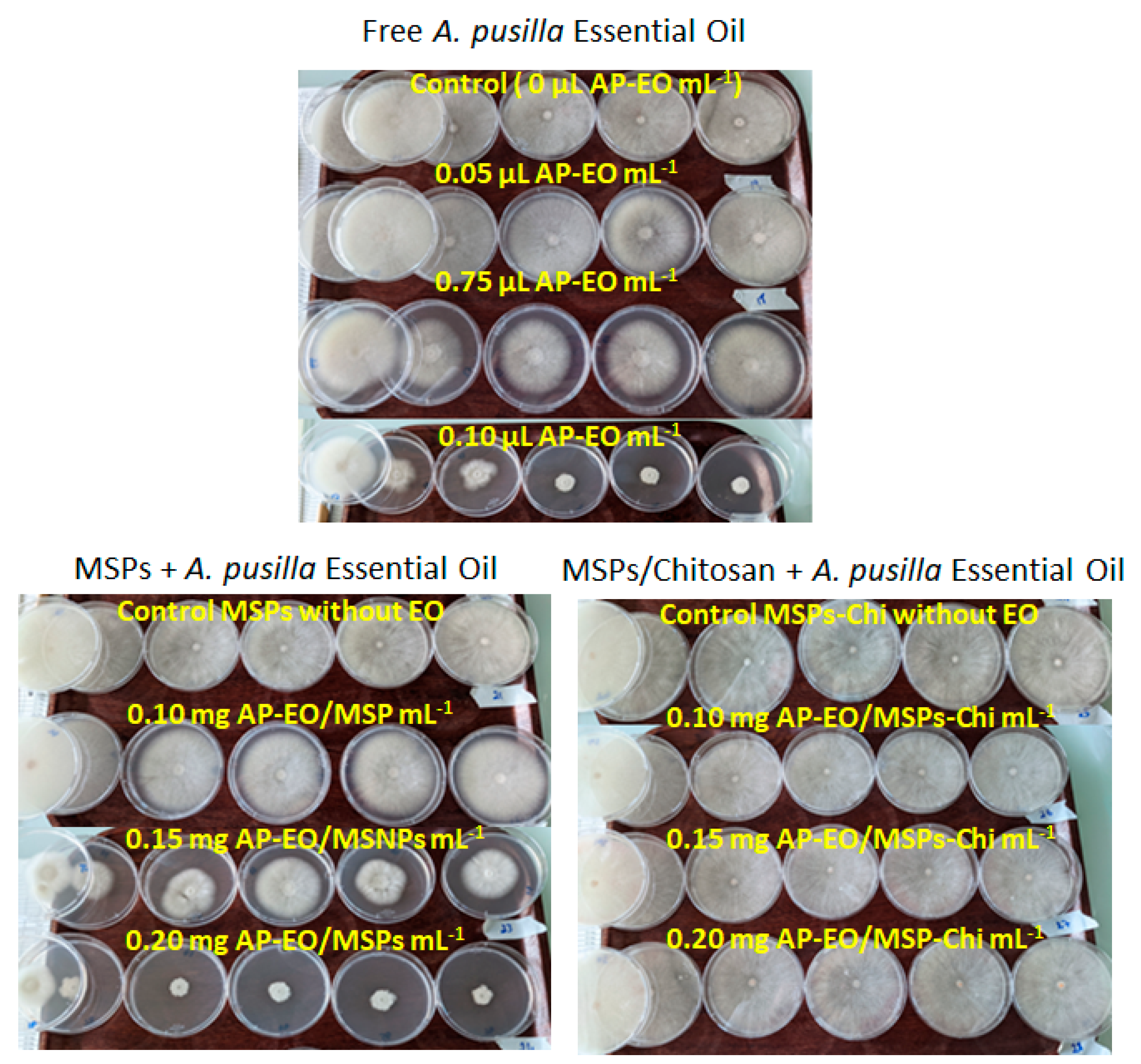Molecules 28 03194 g008 Molecules 28 03194 g008