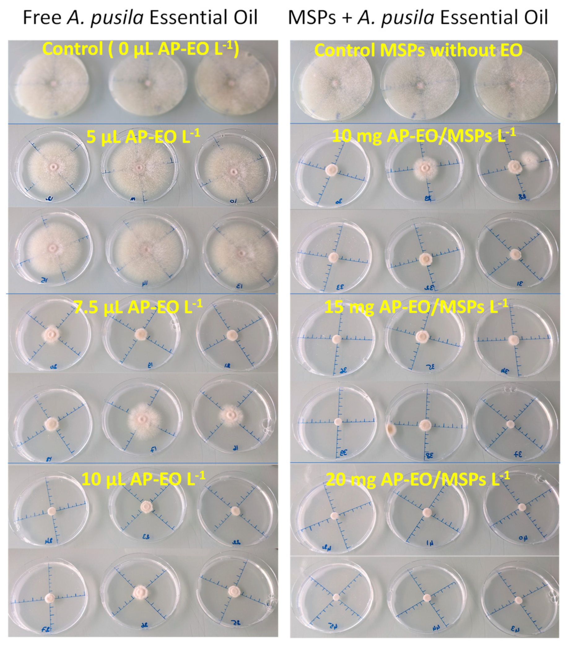 Molecules 28 03194 g010 Molecules 28 03194 g010