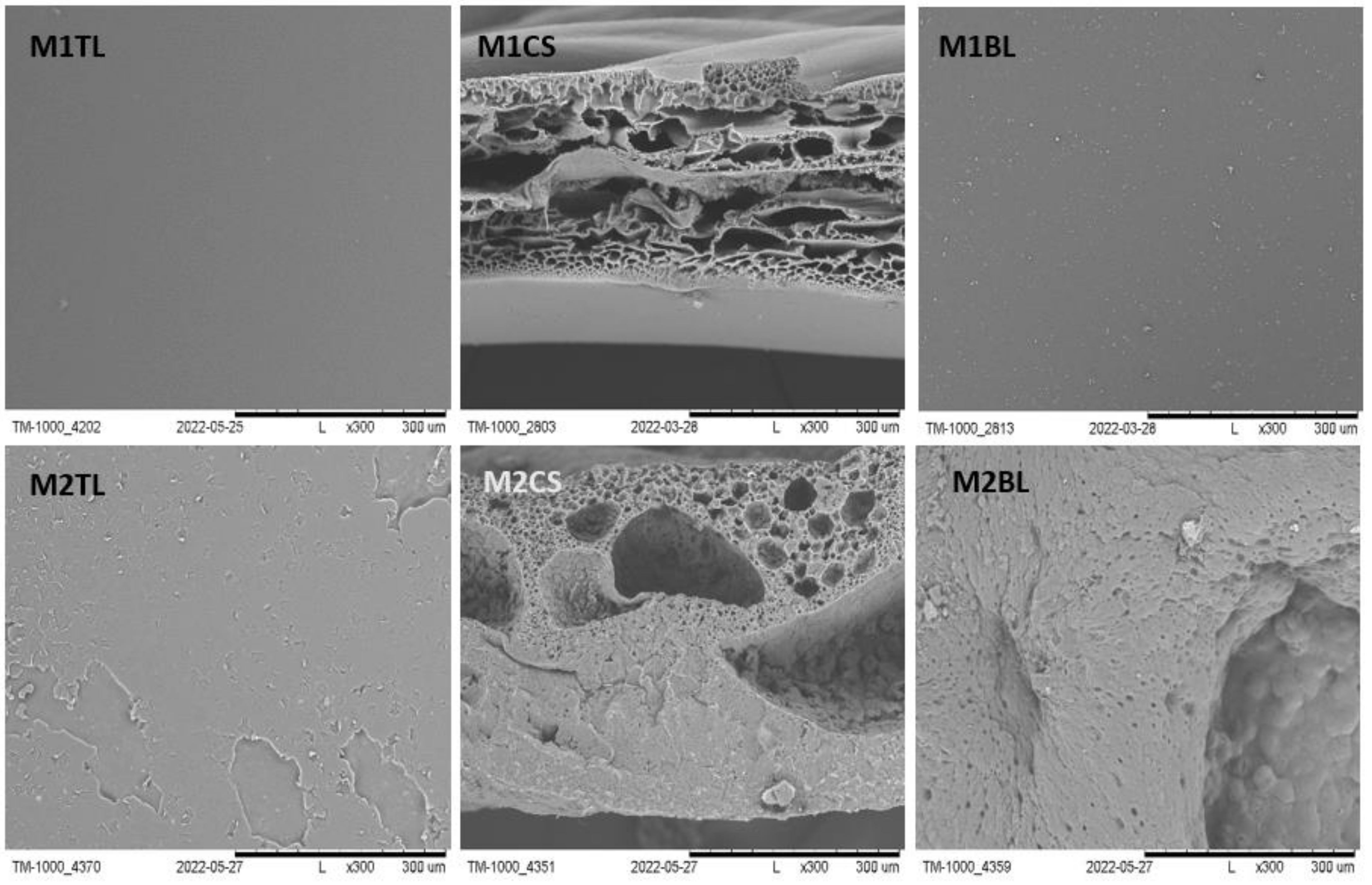Molecules 28 03195 g001 Molecules 28 03195 g001