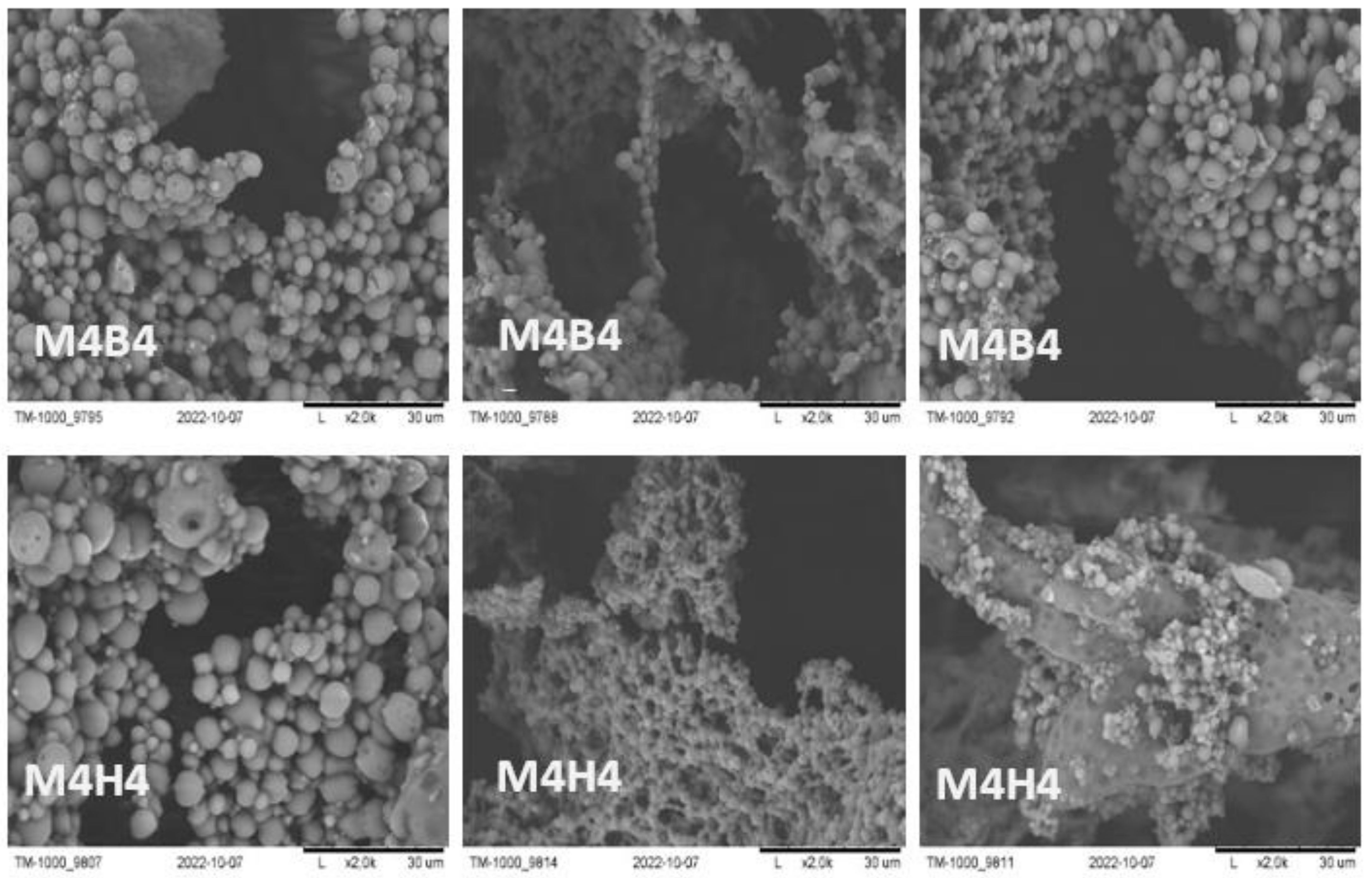 Molecules 28 03195 g006 Molecules 28 03195 g006