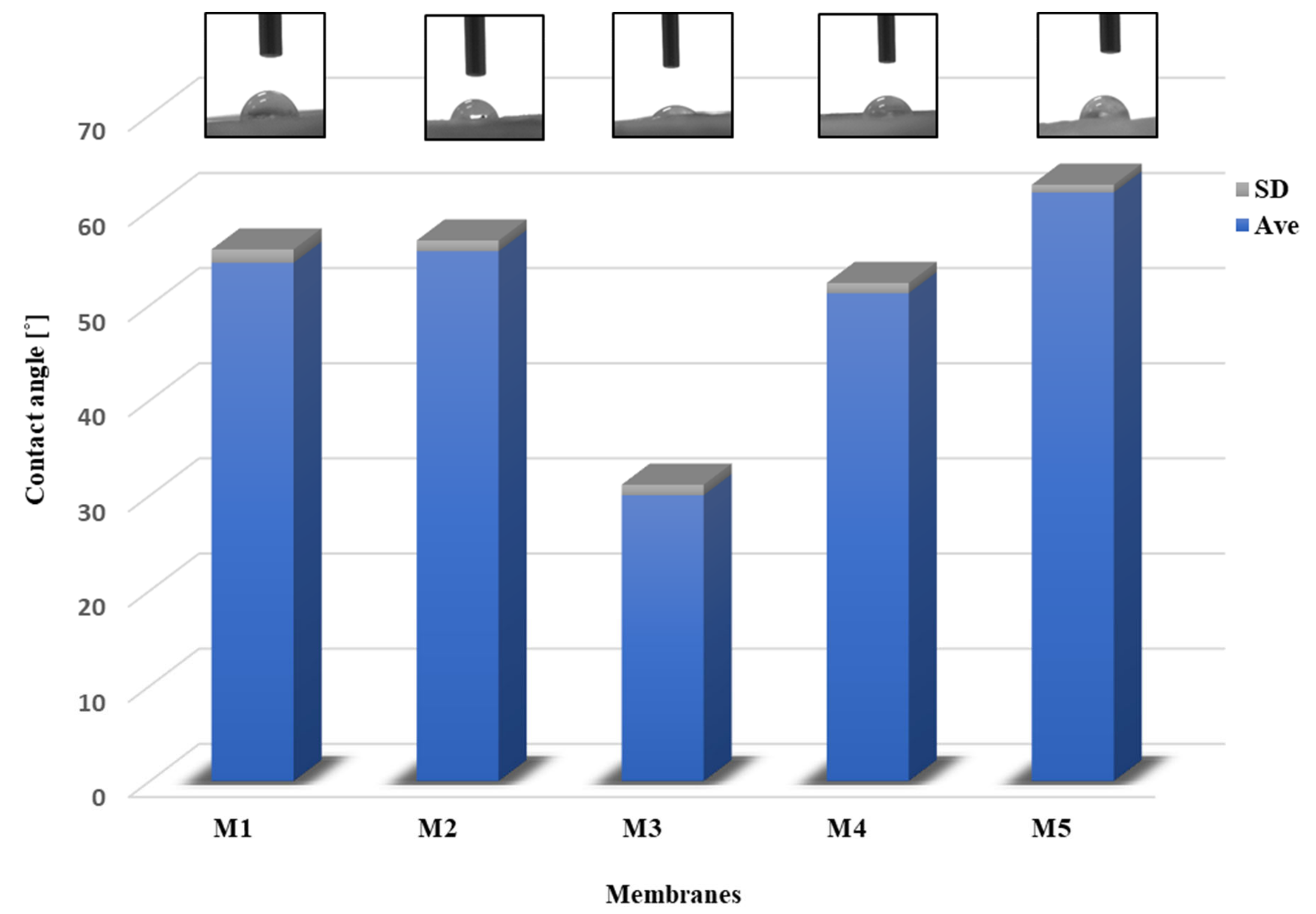 Molecules 28 03195 g014 Molecules 28 03195 g014