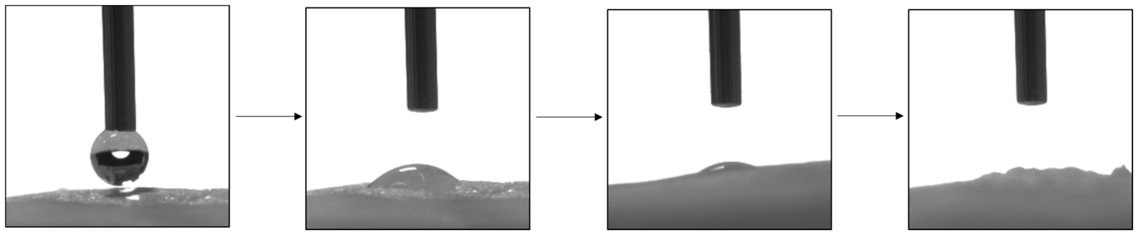 Molecules 28 03195 g015 Molecules 28 03195 g015