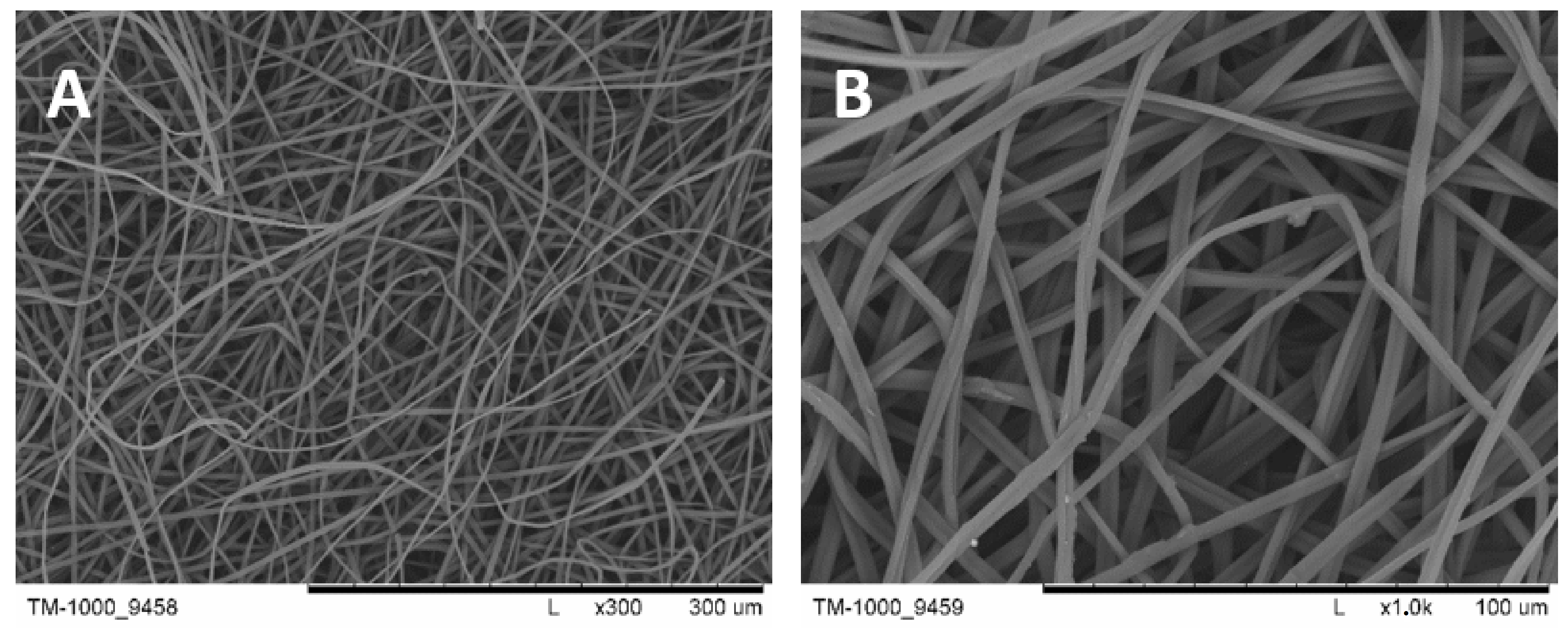 Molecules 28 03195 g021 Molecules 28 03195 g021