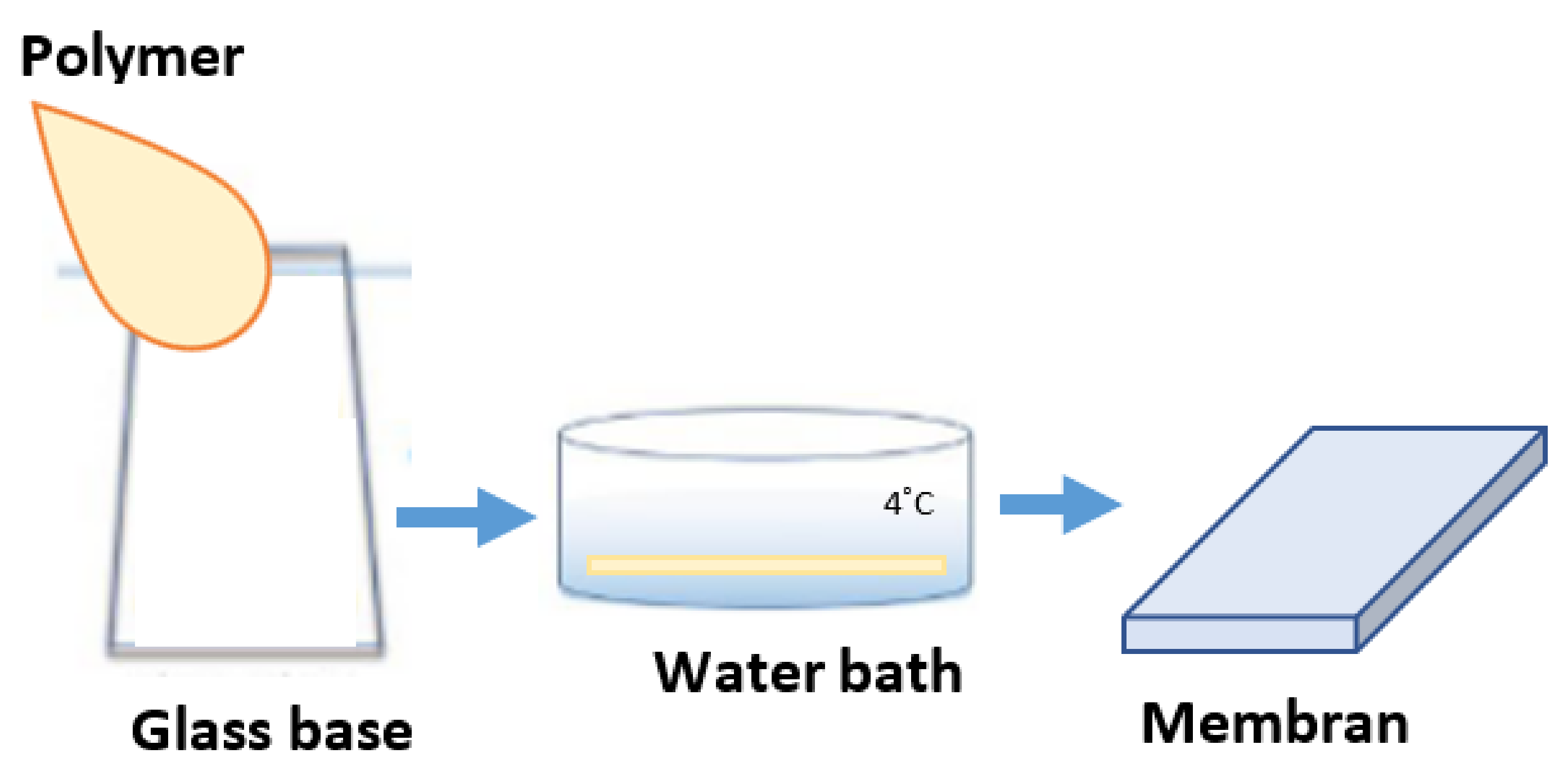 Molecules 28 03195 g022 Molecules 28 03195 g022