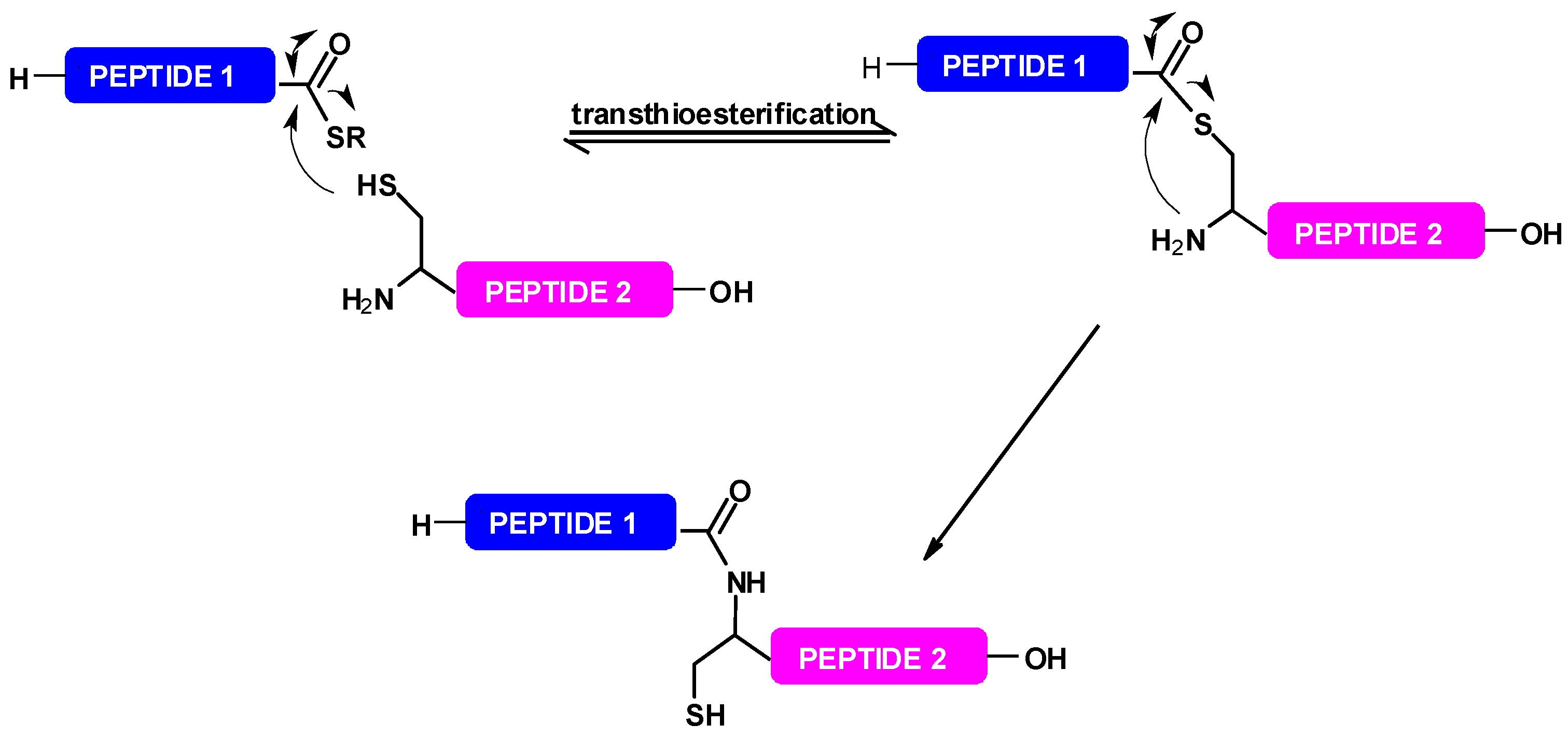 Molecules 28 03198 sch001