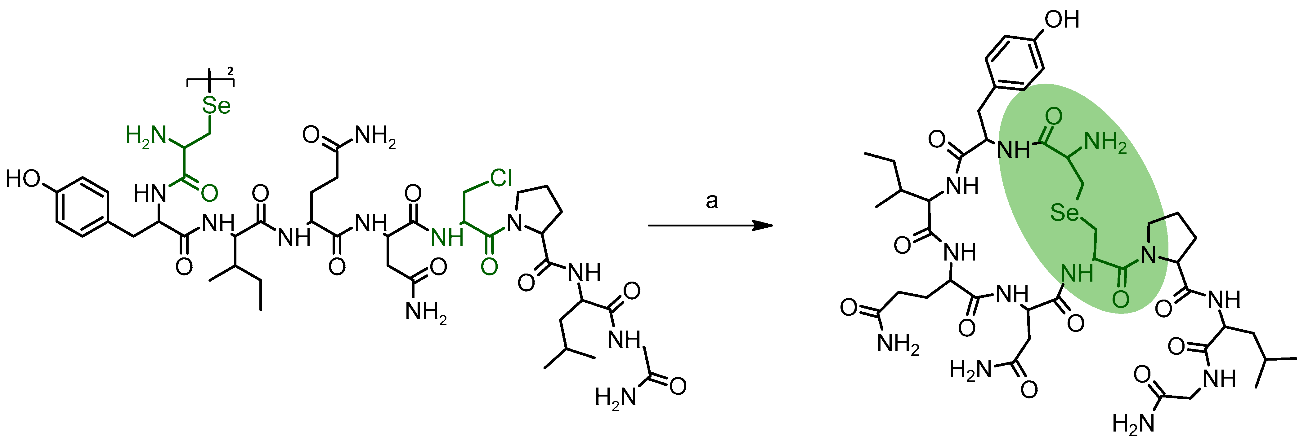 Molecules 28 03198 sch004