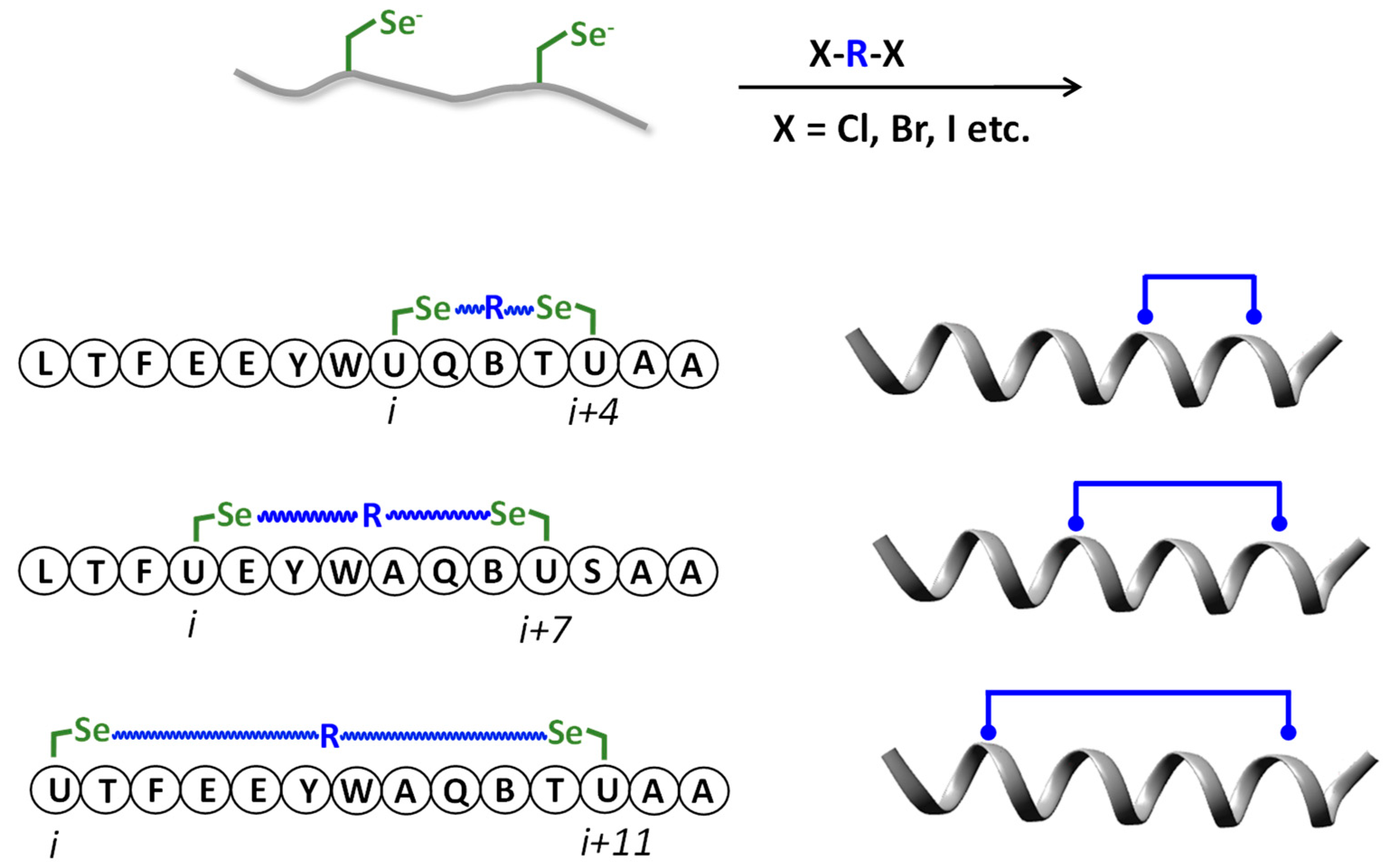 Molecules 28 03198 sch005