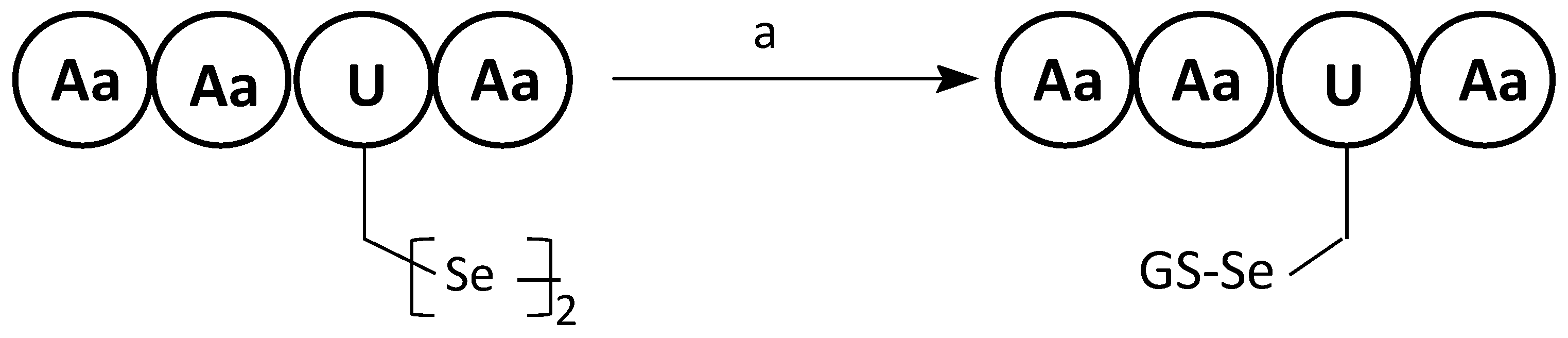 Molecules 28 03198 sch009