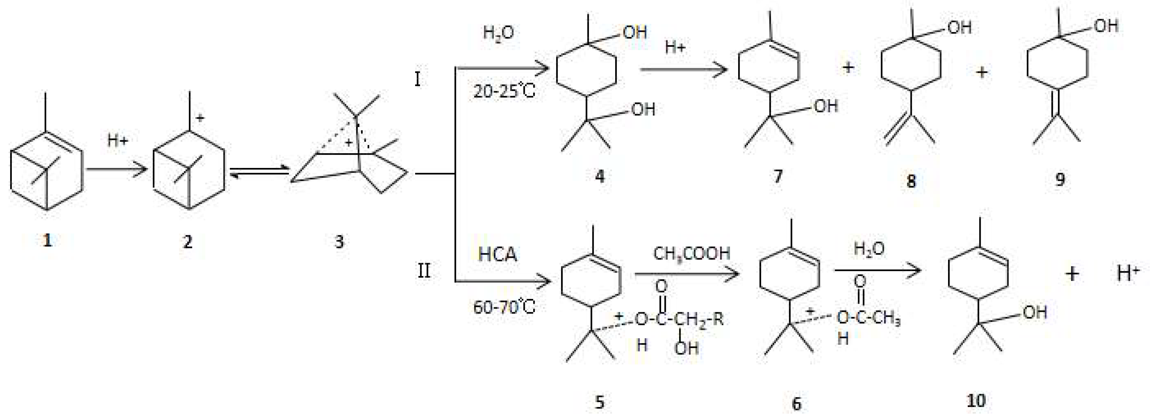 Molecules 28 03202 g007 Molecules 28 03202 g007