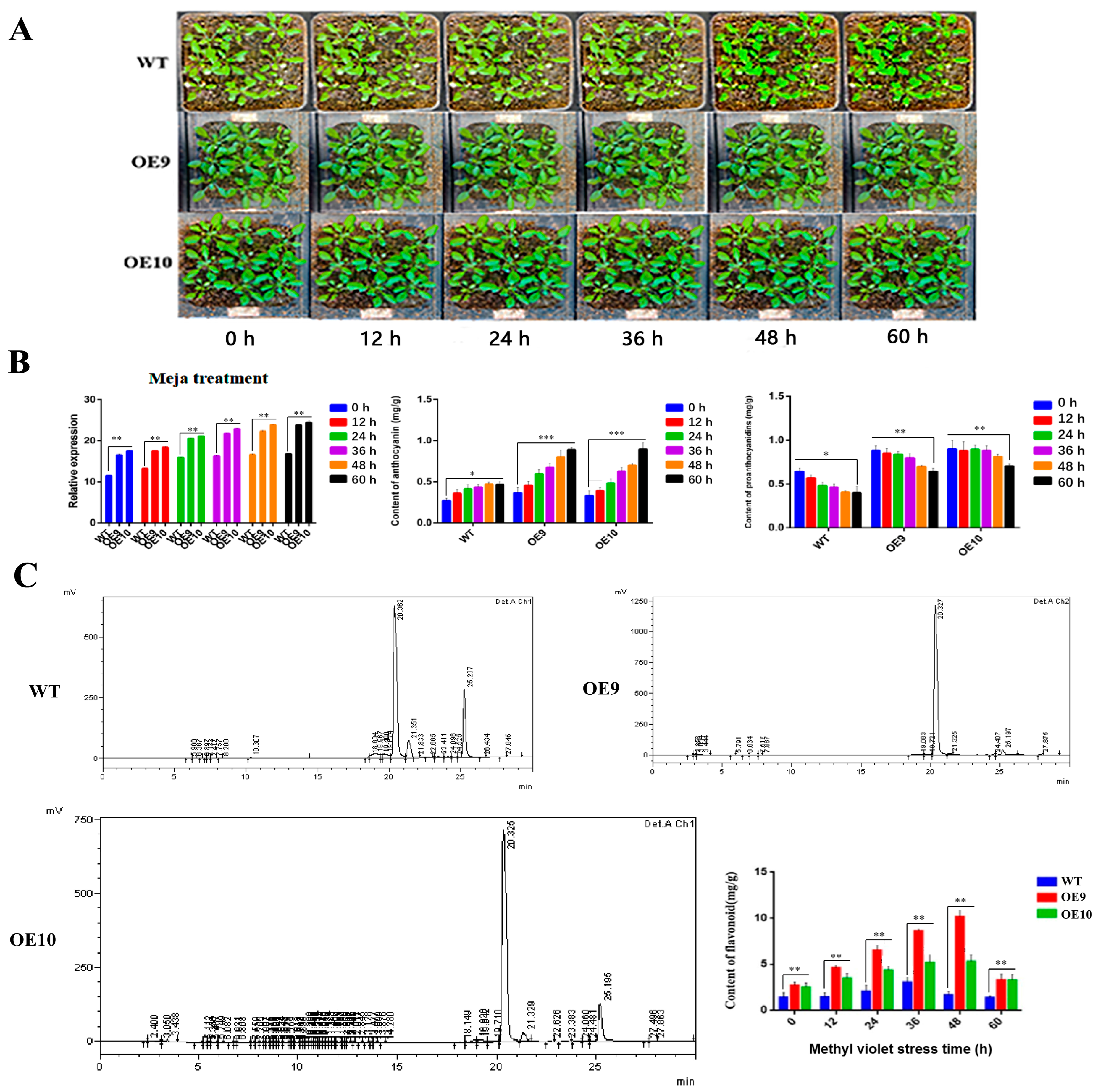 Molecules 28 03205 g006 Molecules 28 03205 g006