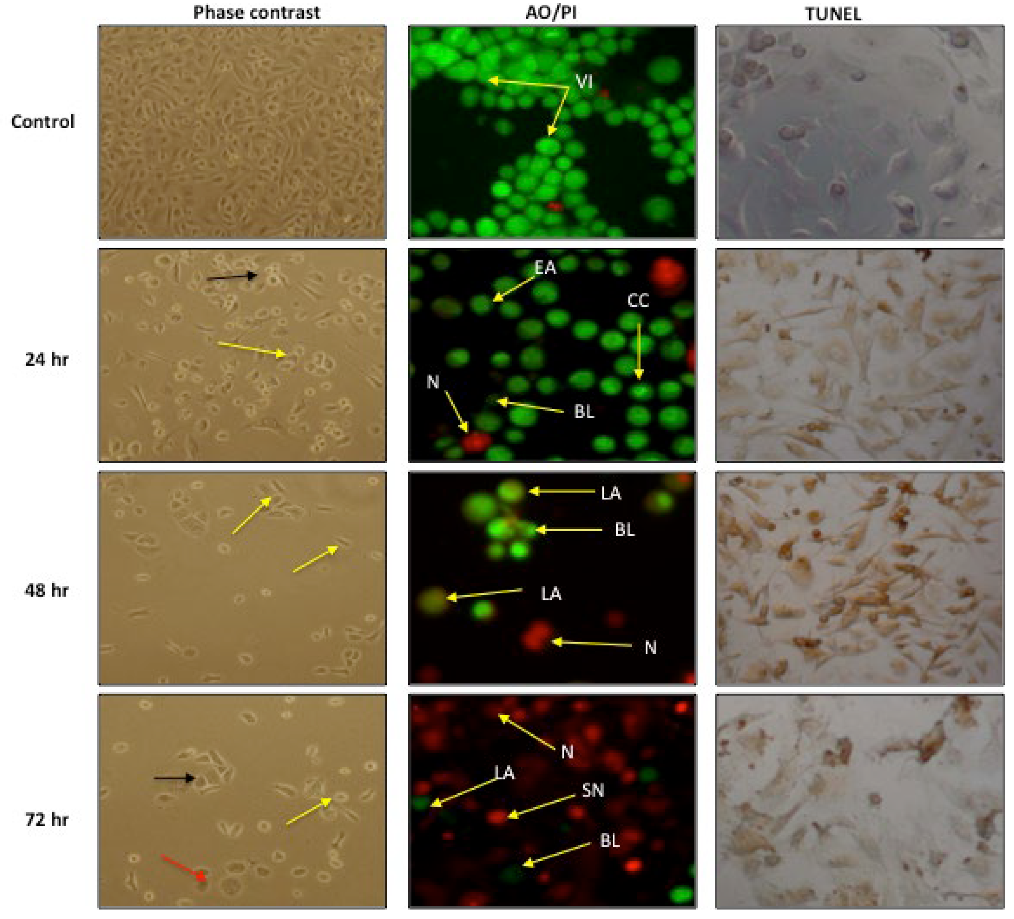 Molecules 28 03214 g004