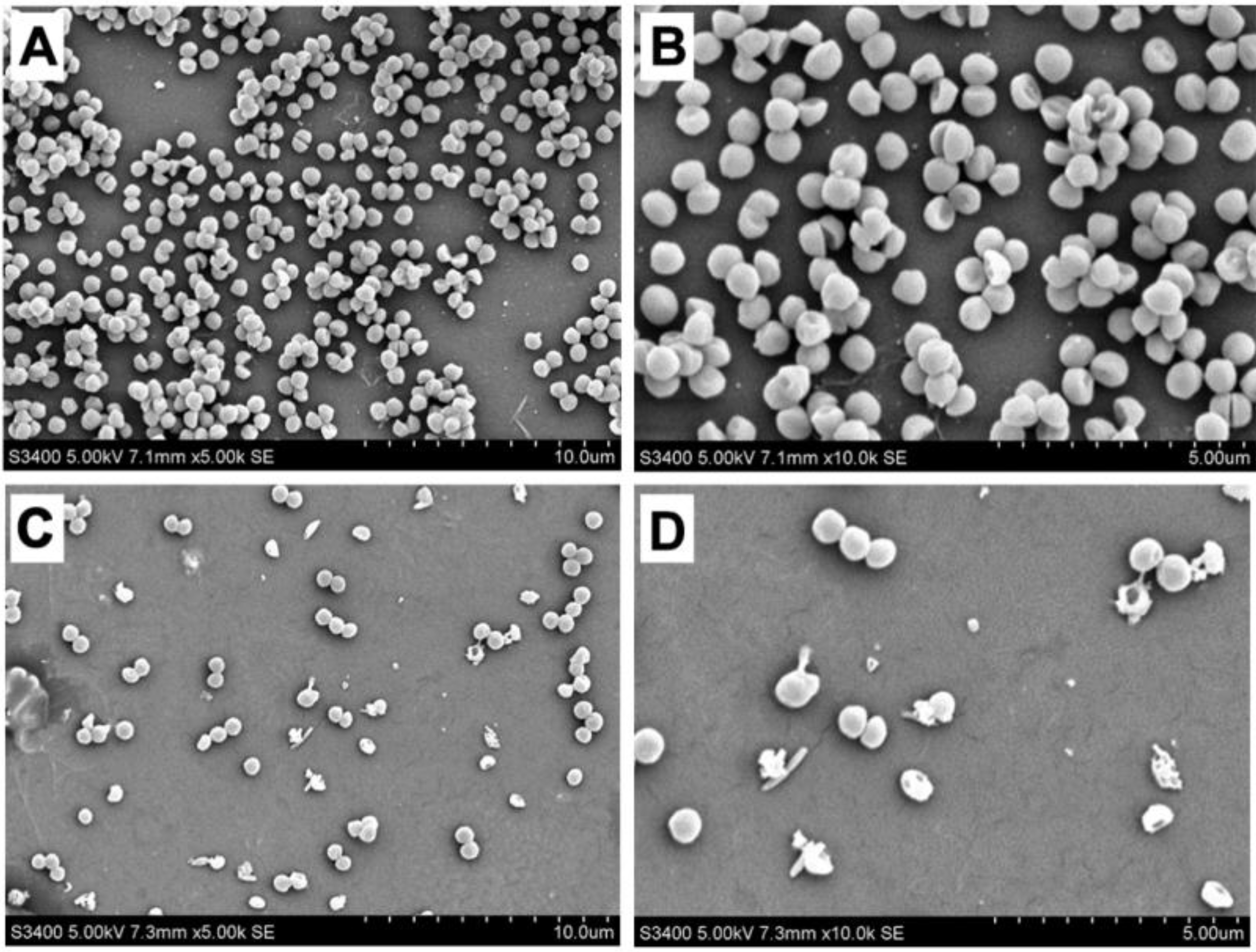 Molecules 28 03219 g003