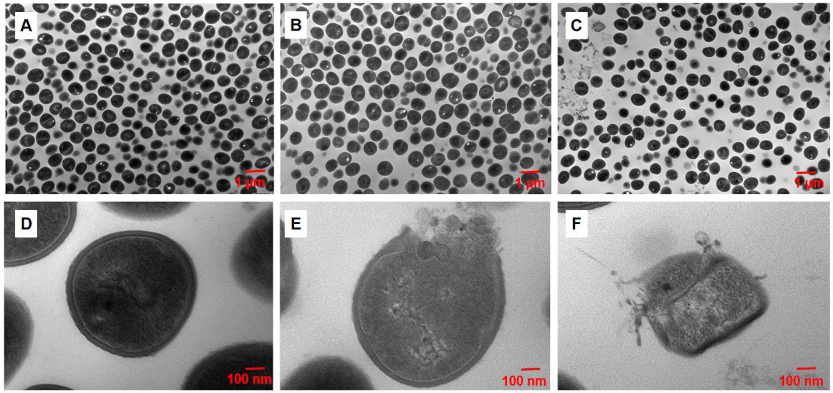 Molecules 28 03219 g004