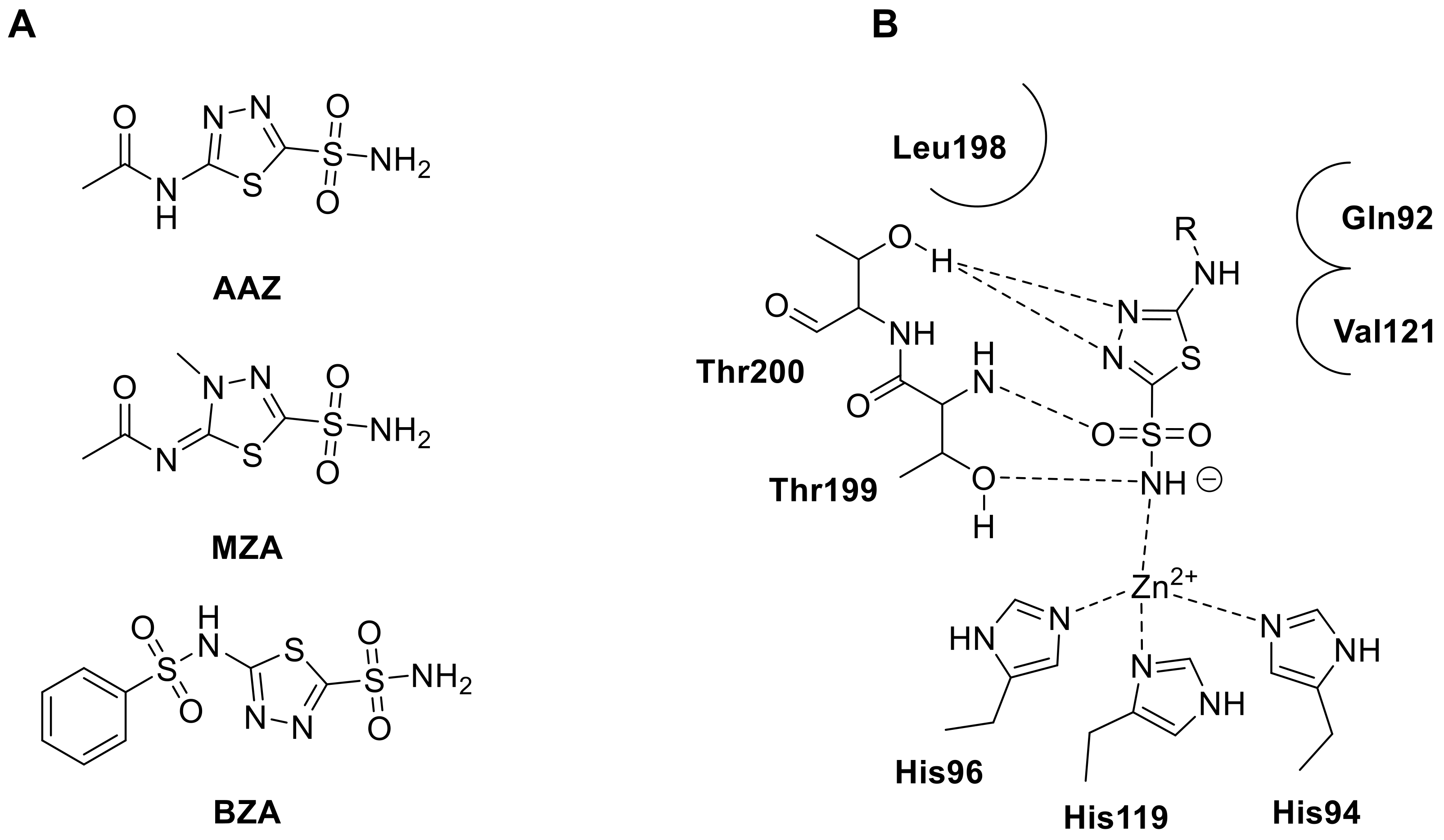 Molecules 28 03220 g006