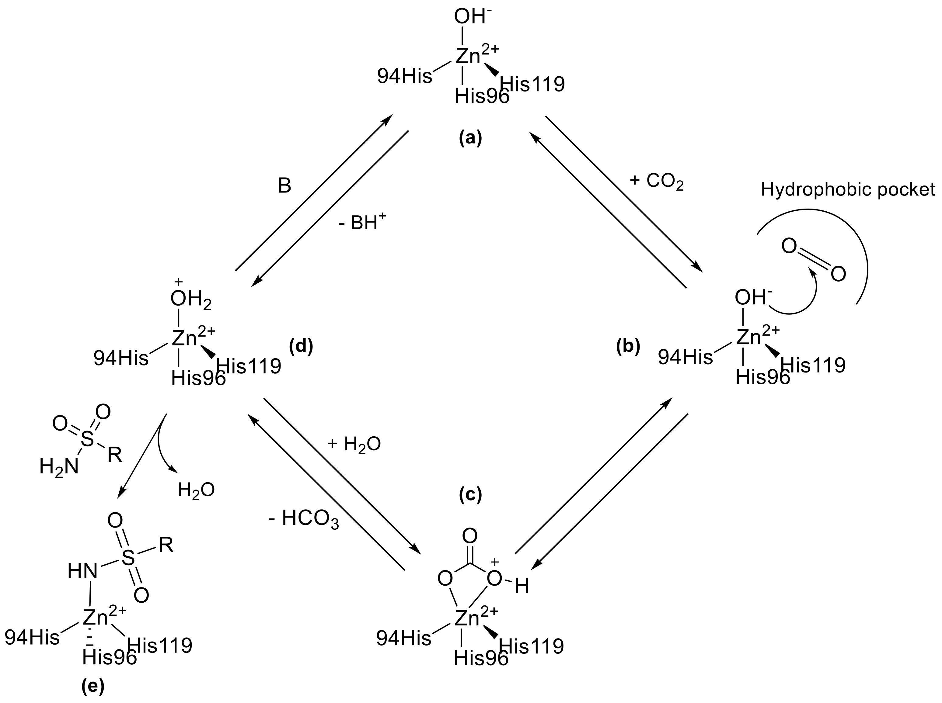 Molecules 28 03220 sch001