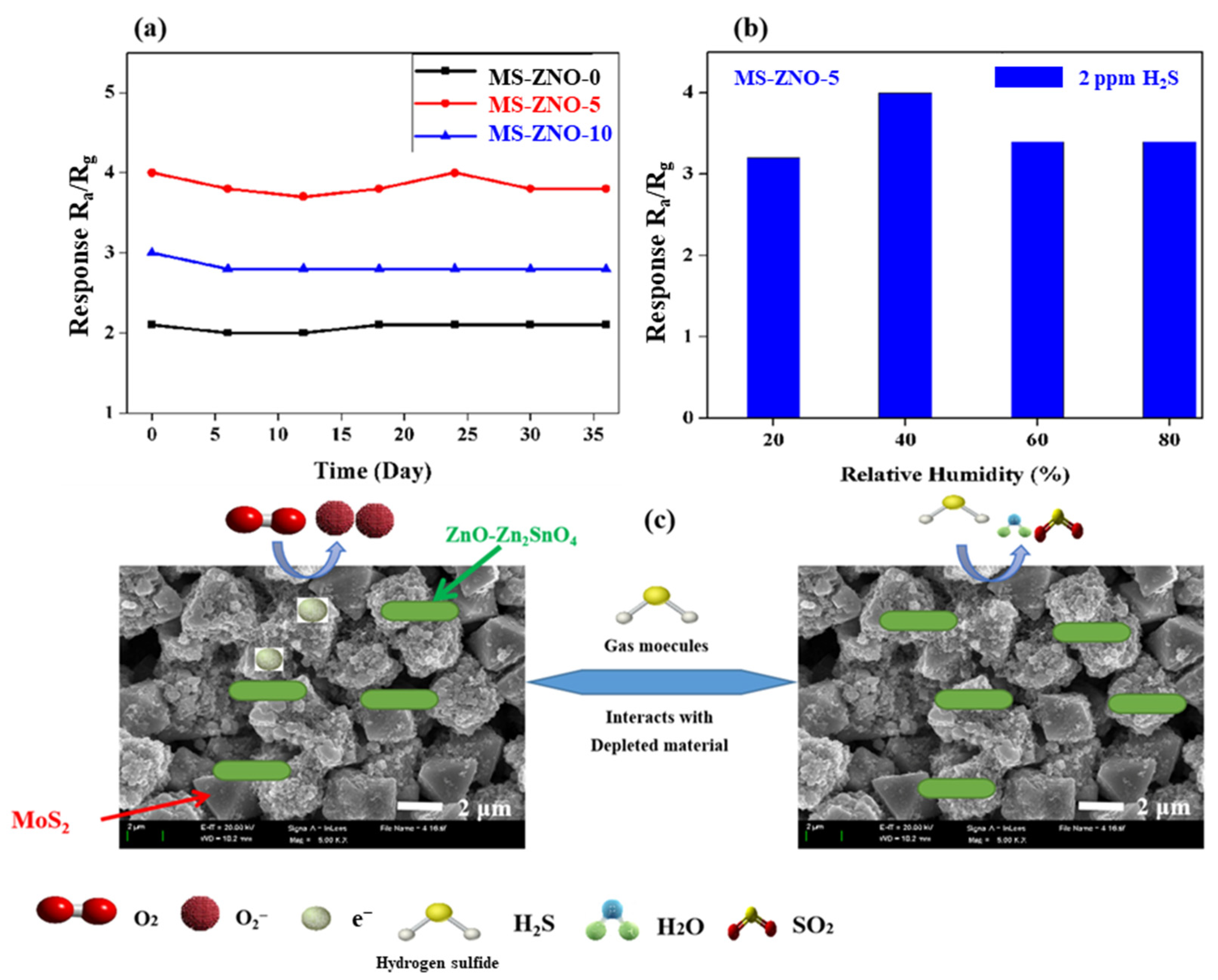Molecules 28 03230 g007